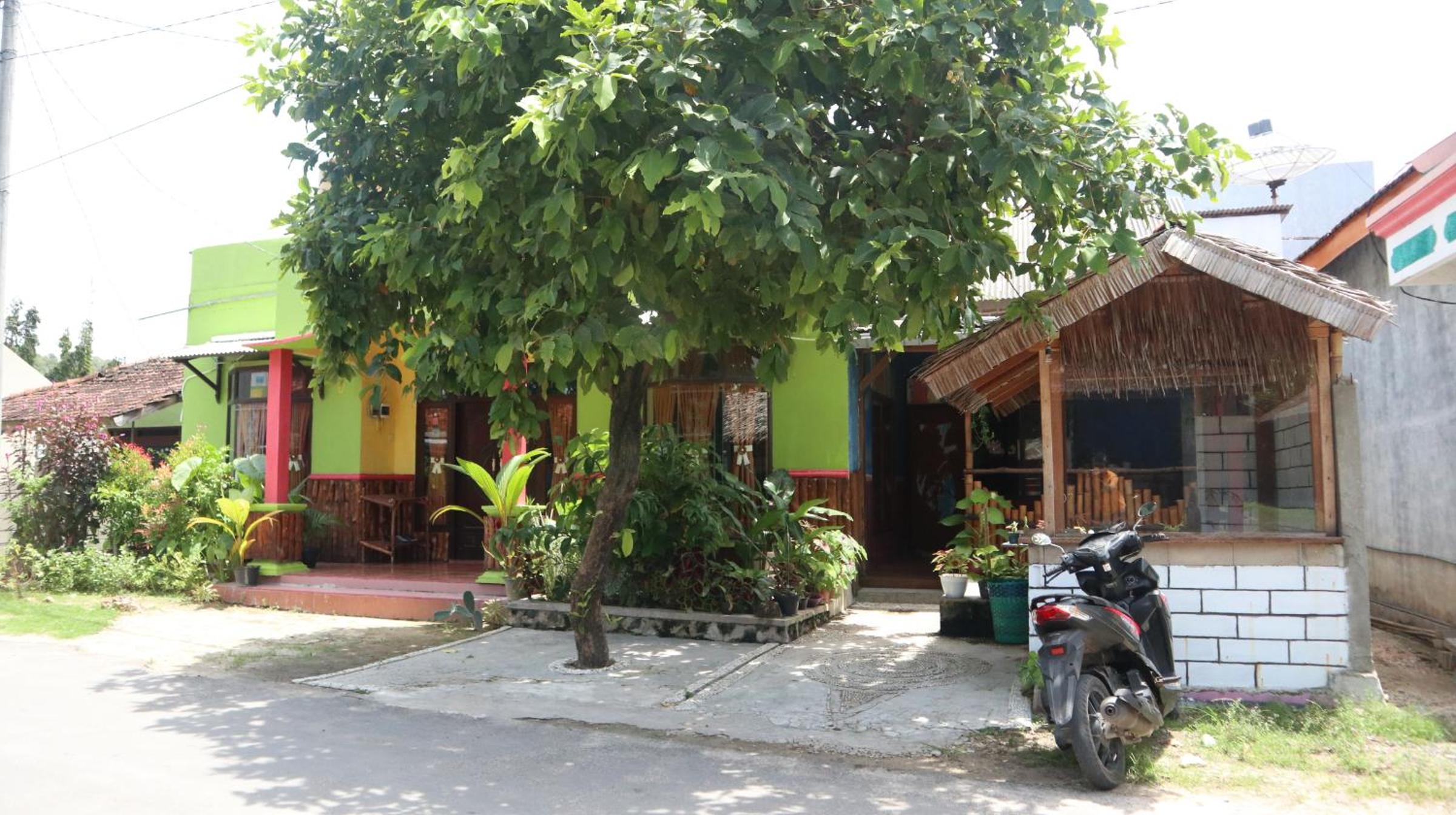 Photo 29