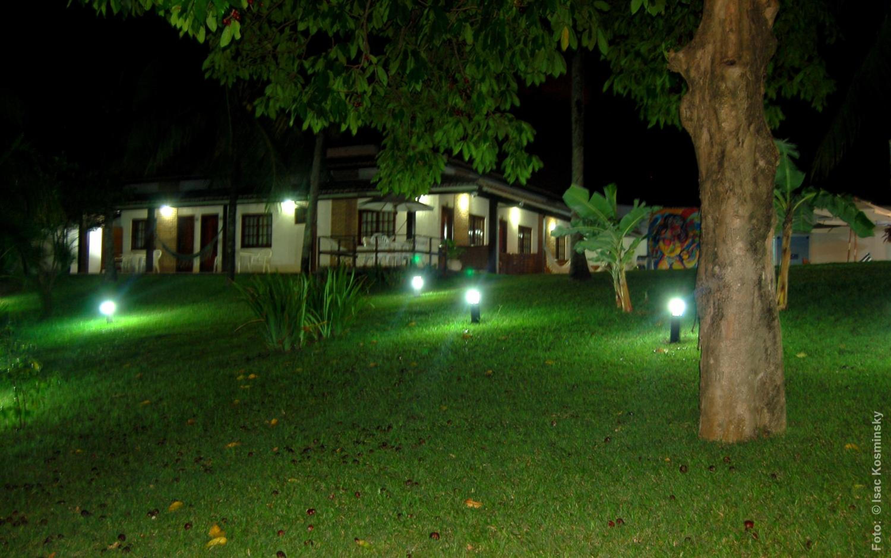 Photo 42