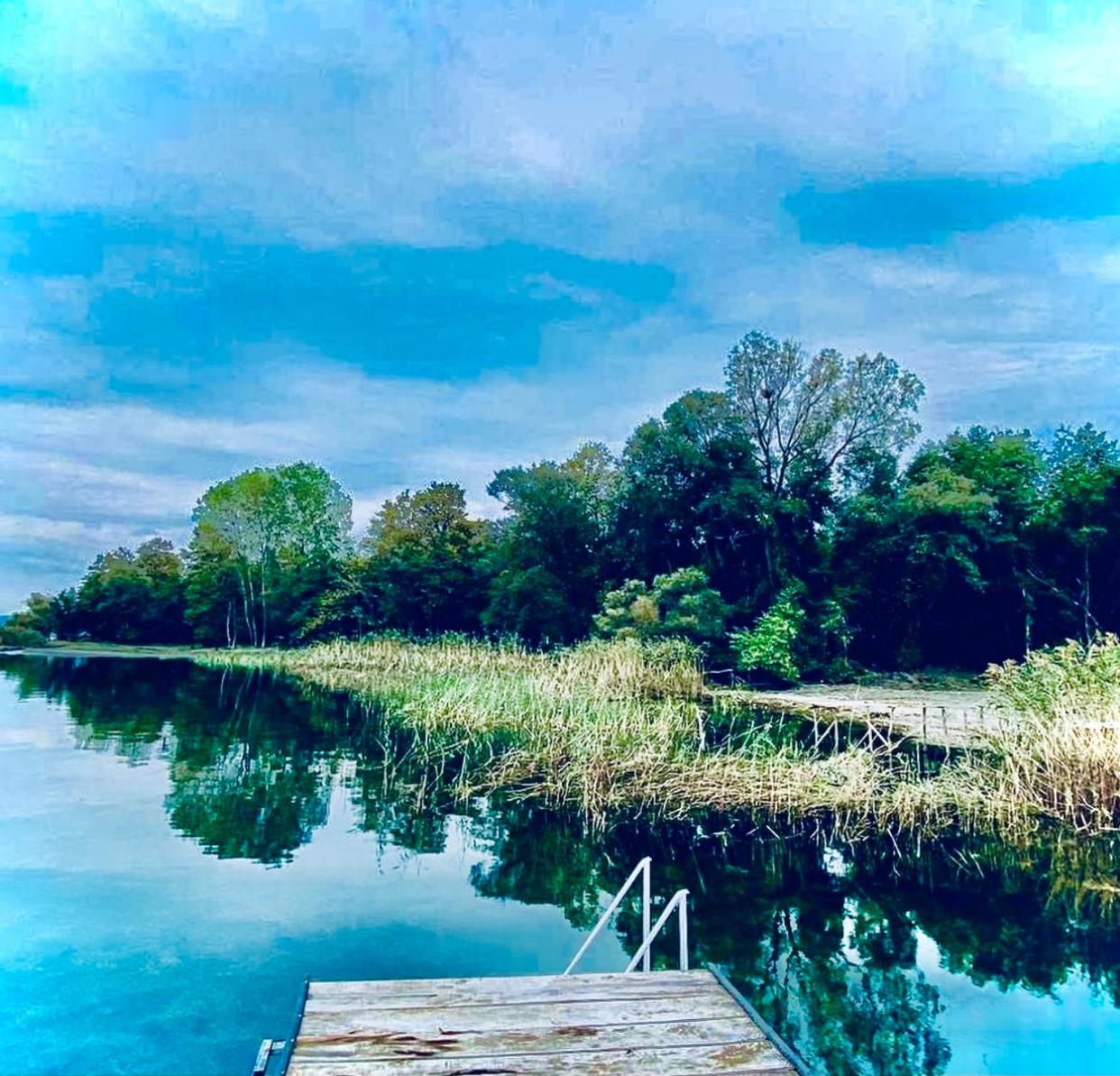 Photo 44