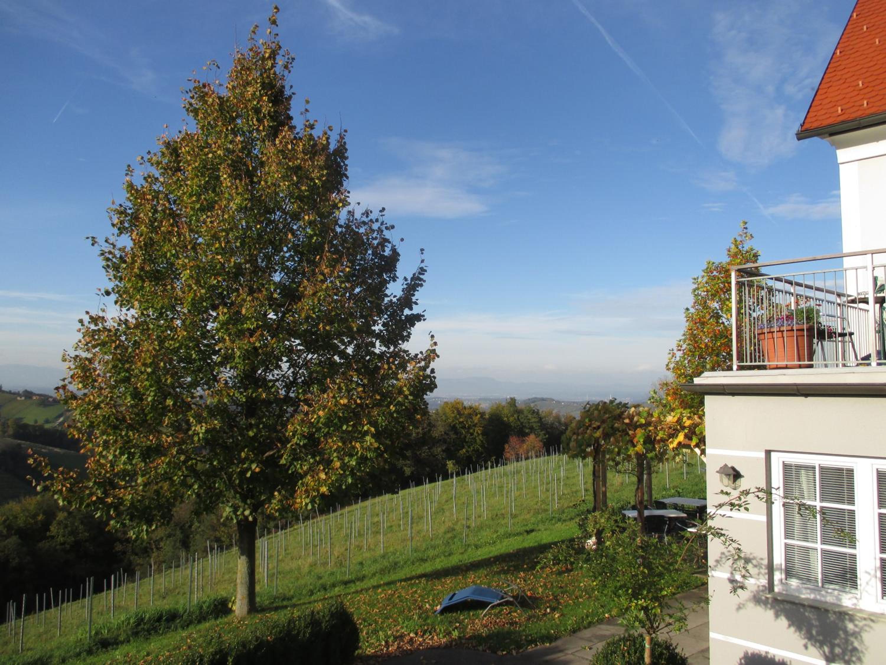 Gäste- und Vitalhaus Sauer