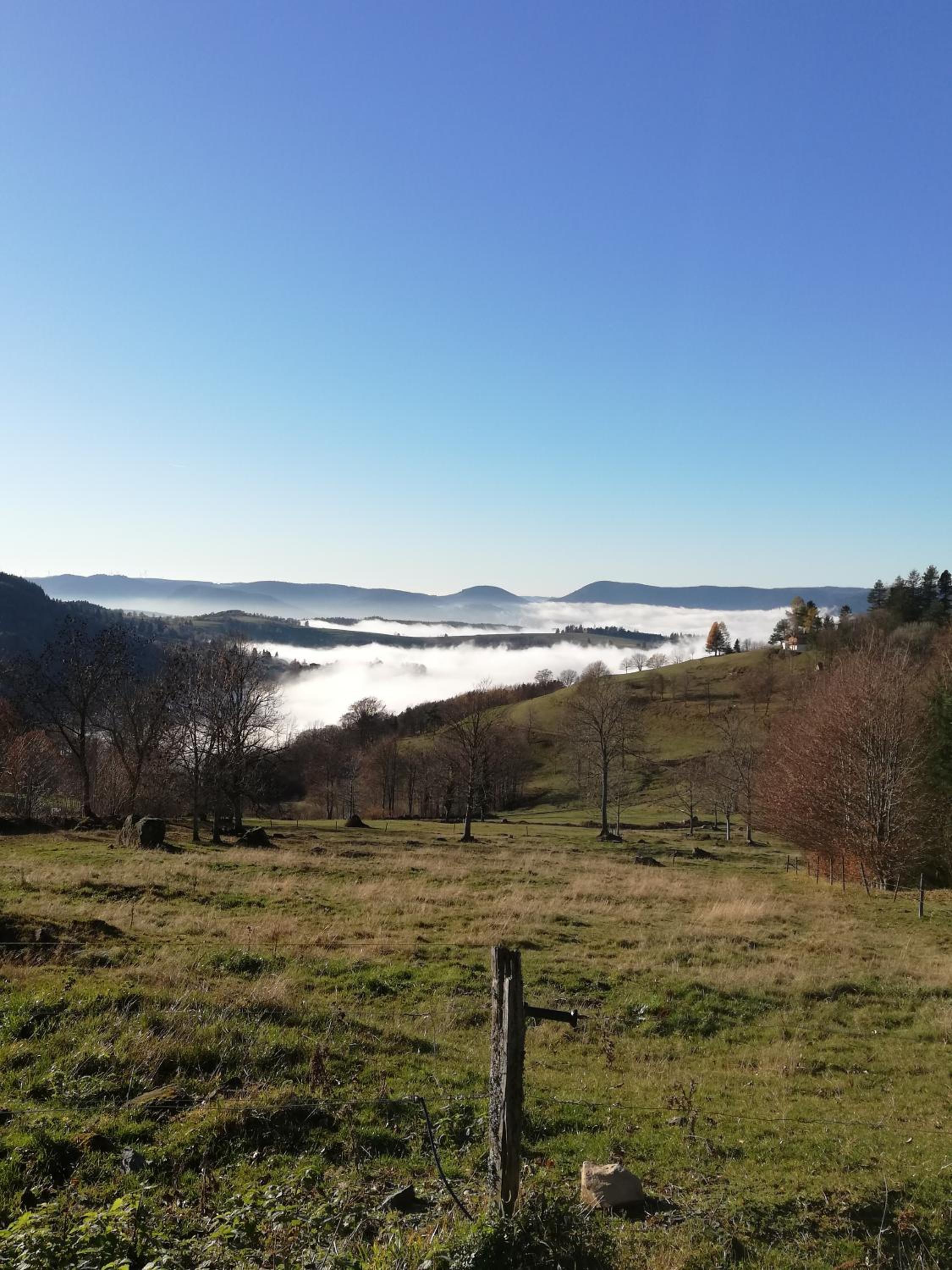 Domaine De Siane