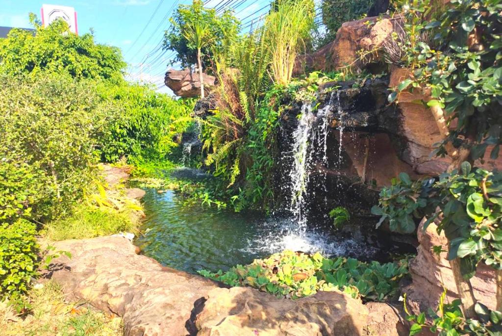 garden