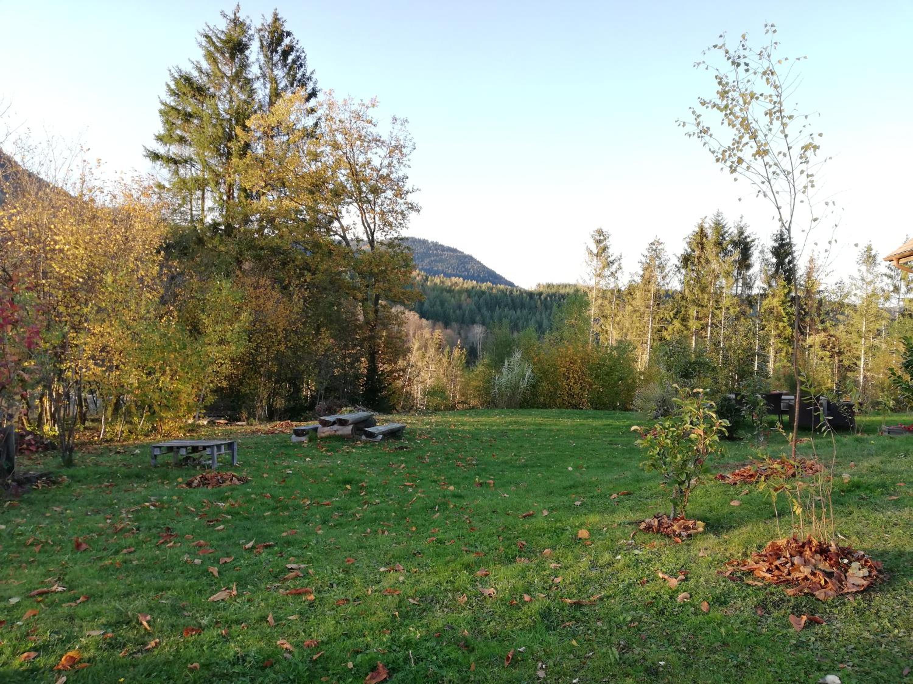 Domaine De Siane