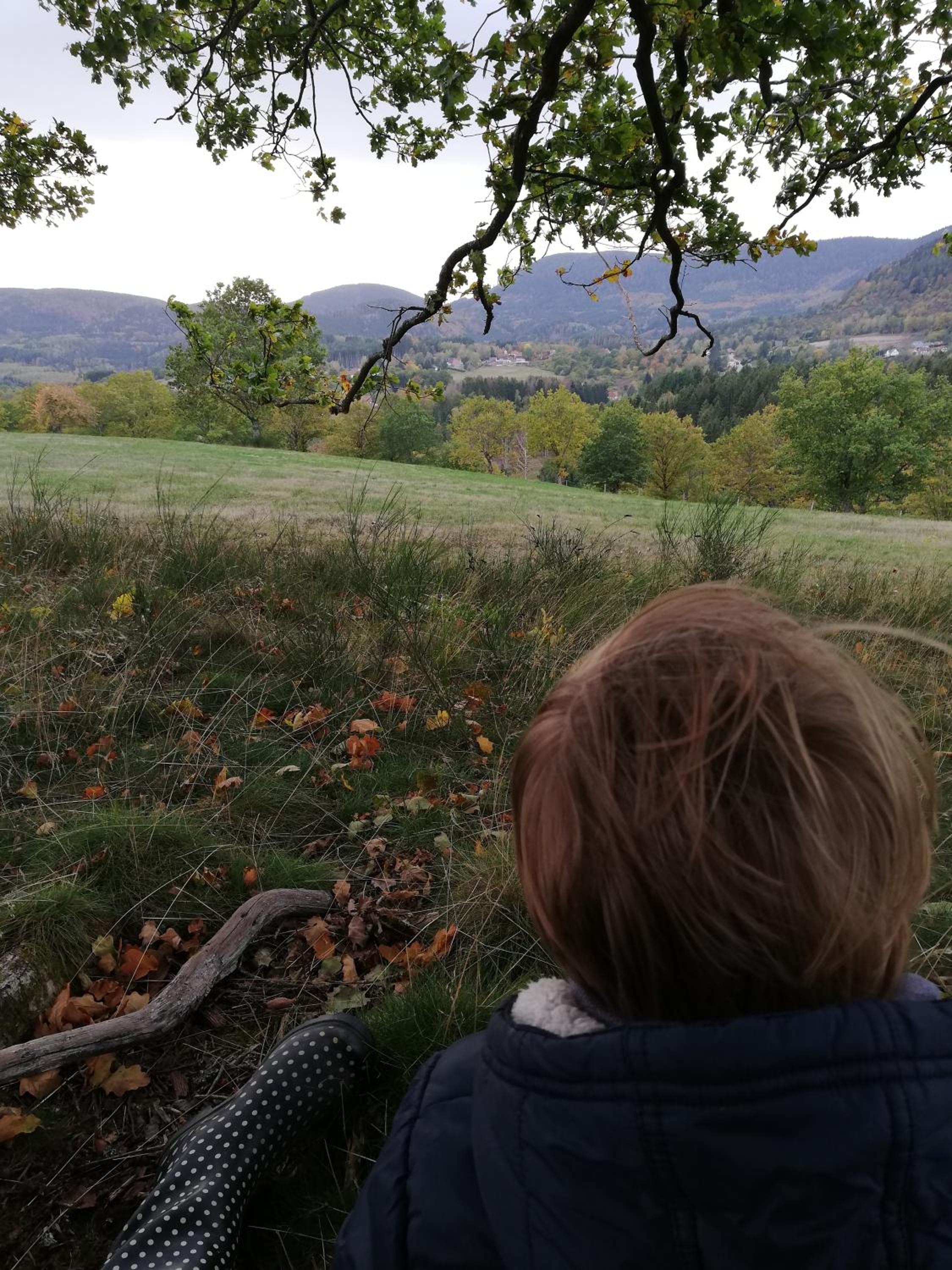 Domaine De Siane