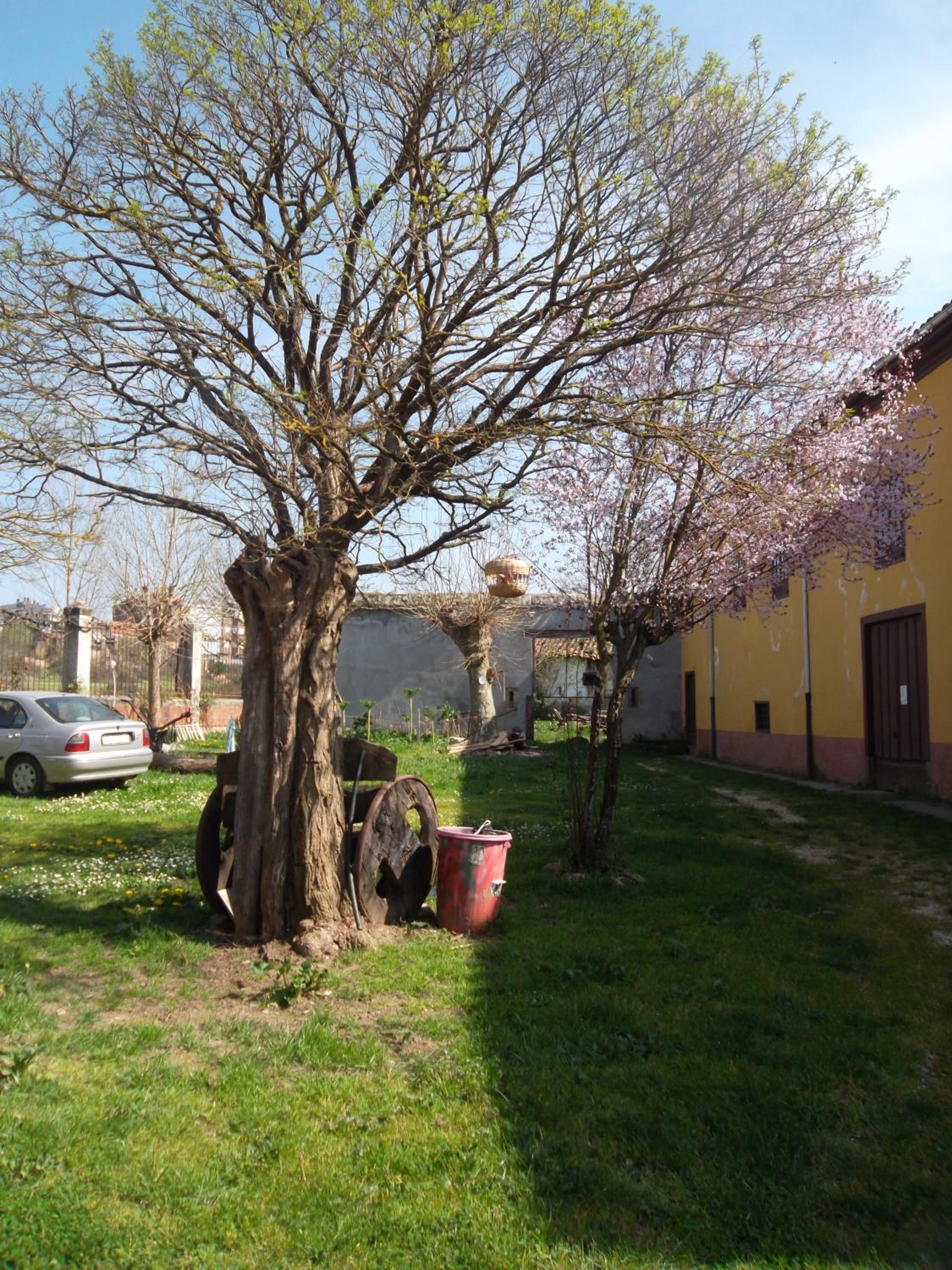 Molinos de Antero