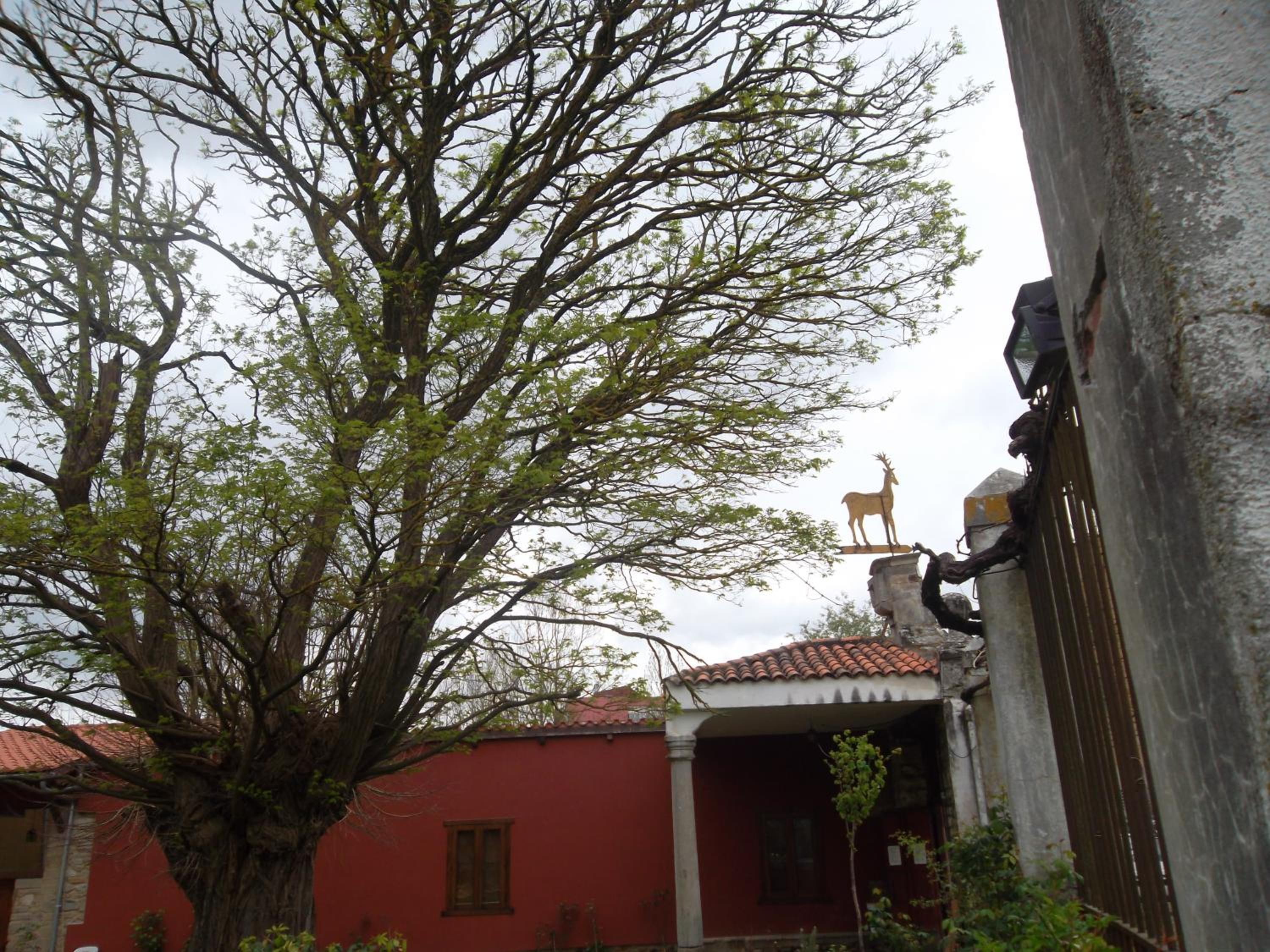 Molinos de Antero