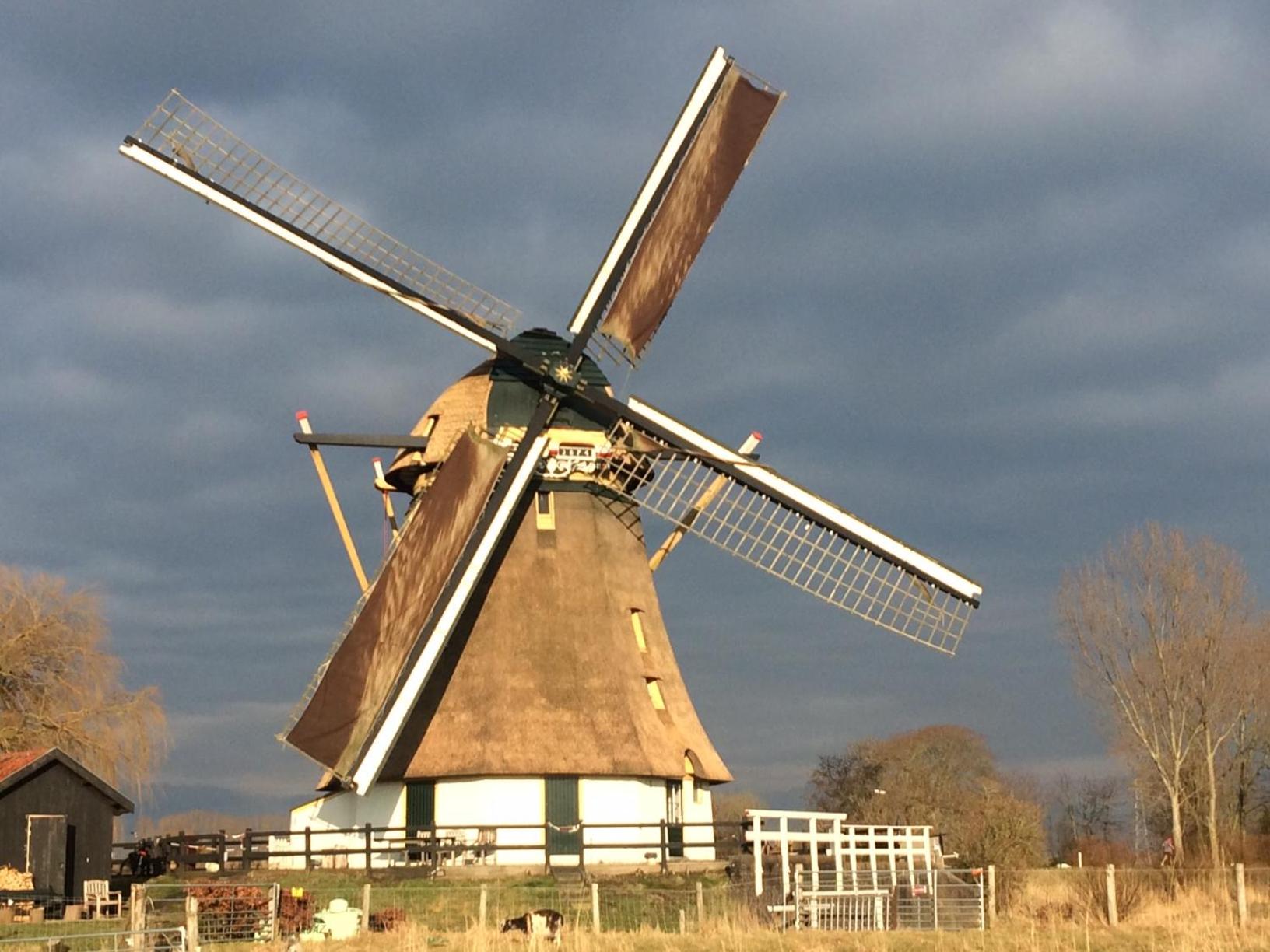 Mondriaanmolen, a real Windmill close to Amsterdam view 4