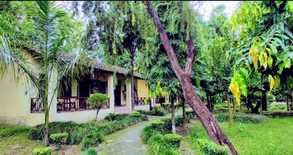 Rhino Lodge Bardia Pvt Ltd