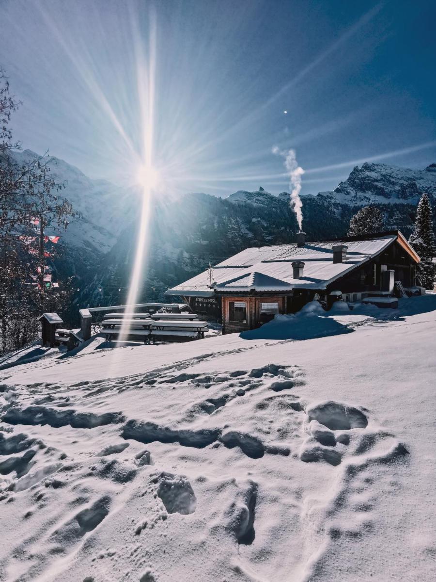 Mountain Hostel Gimmelwald 29
