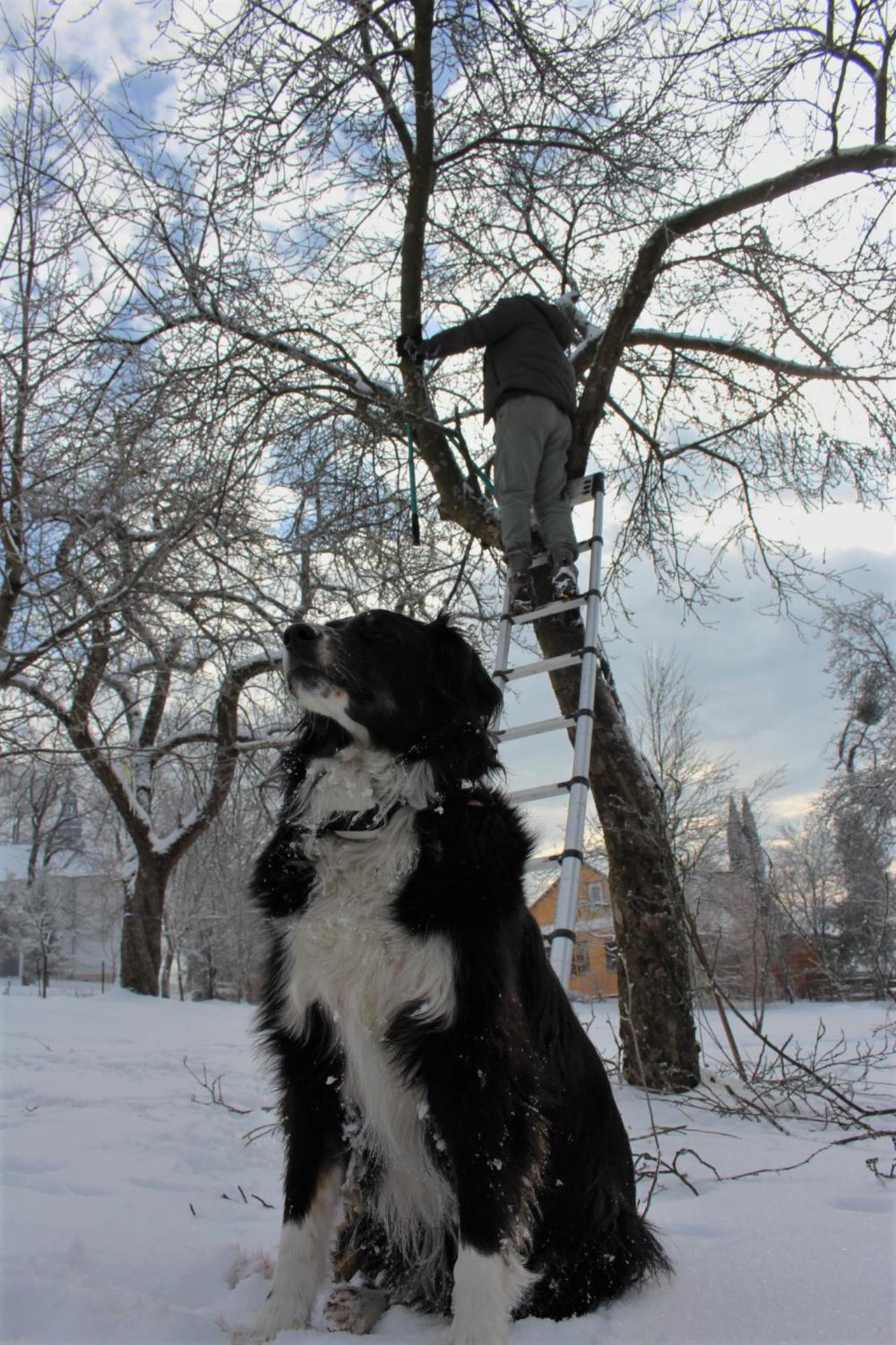 Photo 40