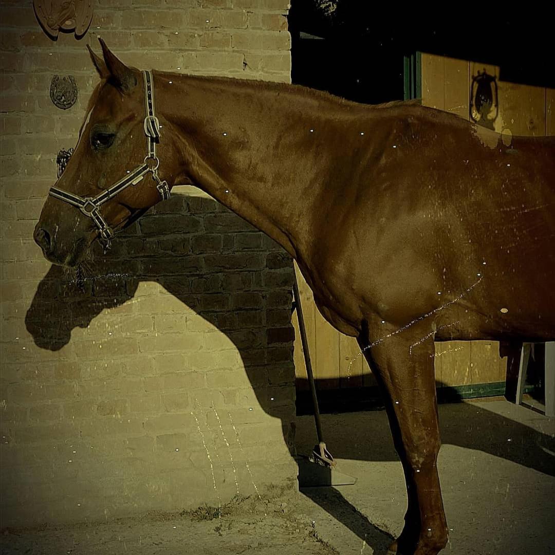 Felix House - Property Image 3