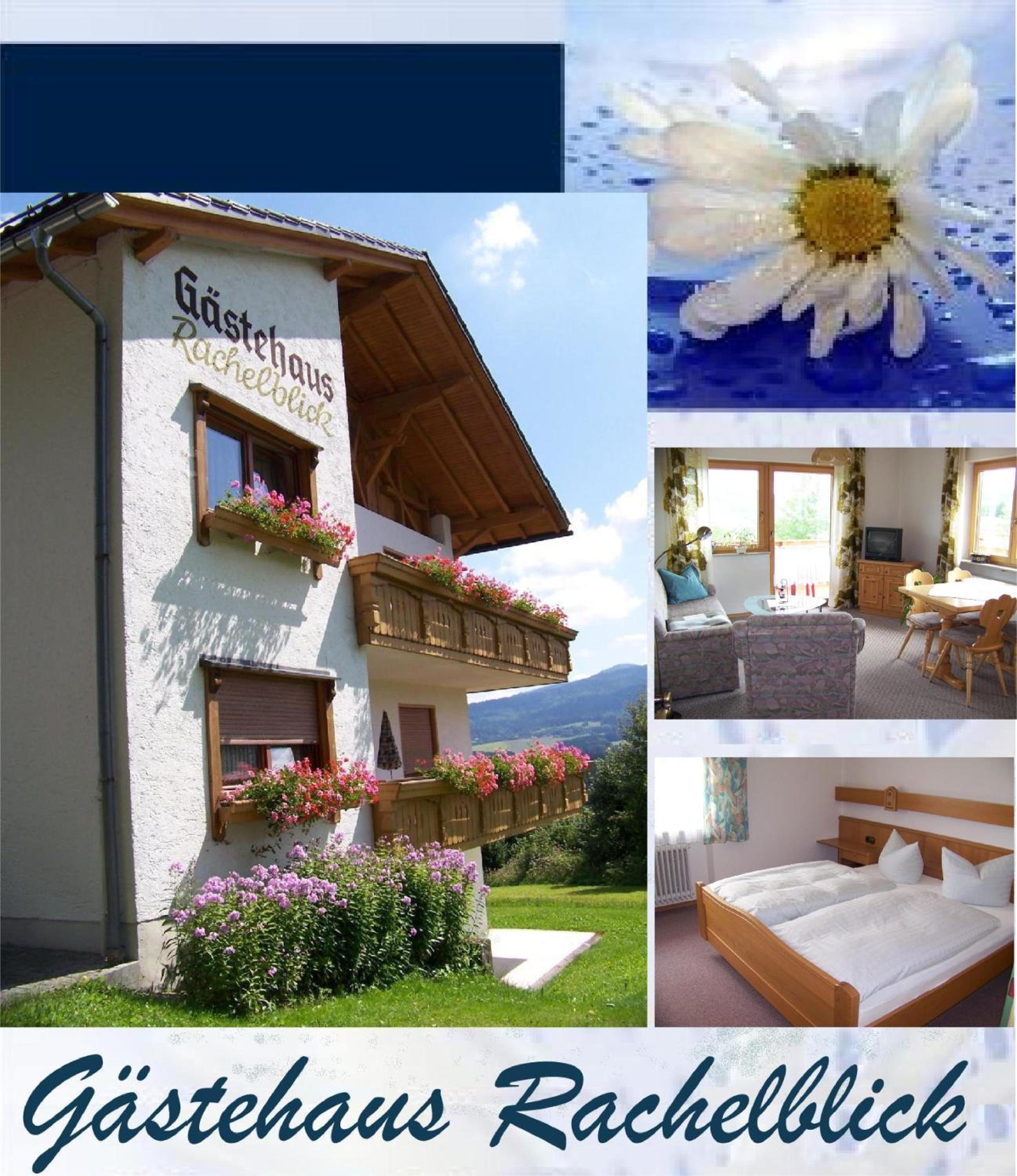 Gästehaus Rachelblick view 5