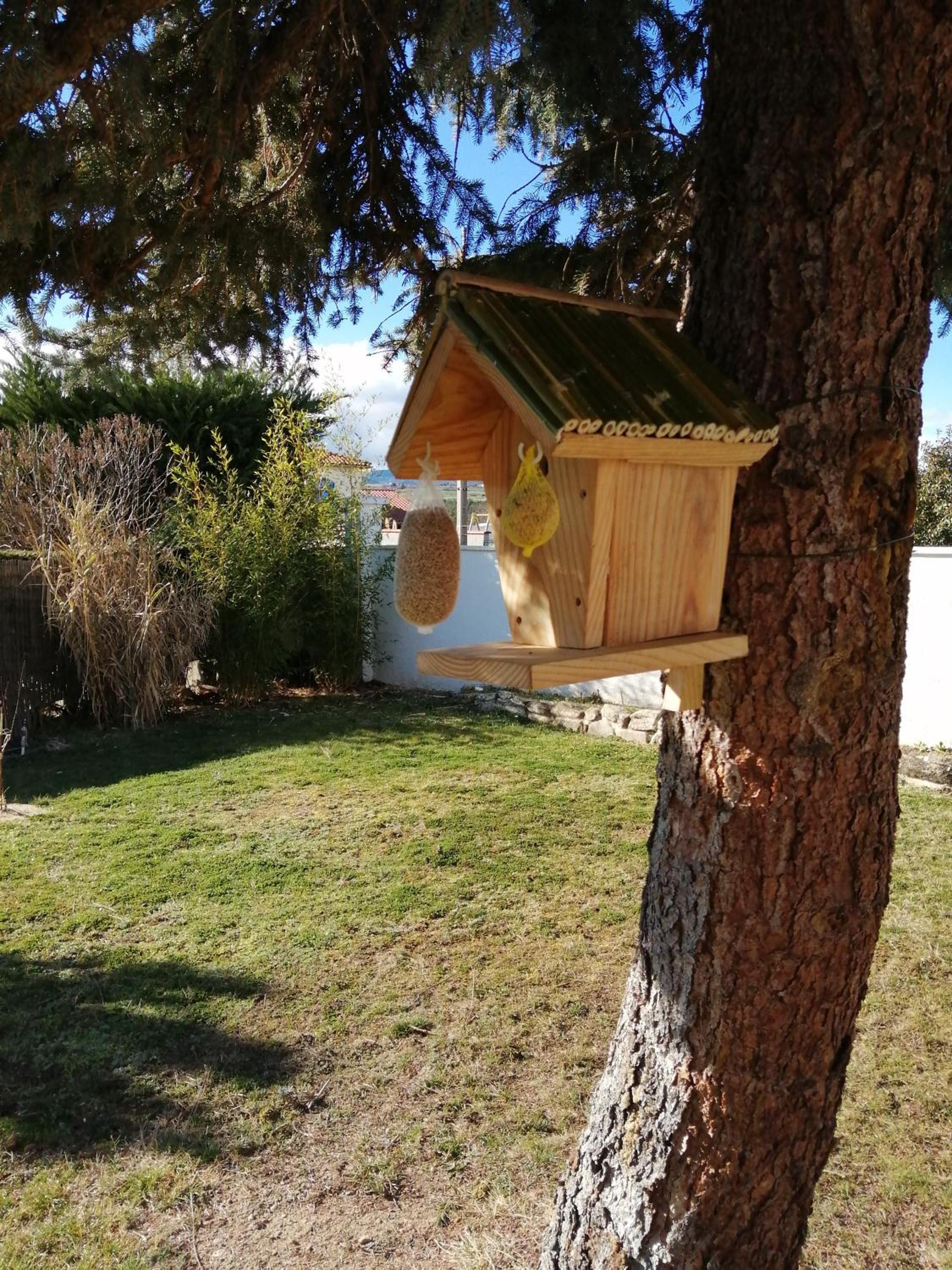 Photo 31