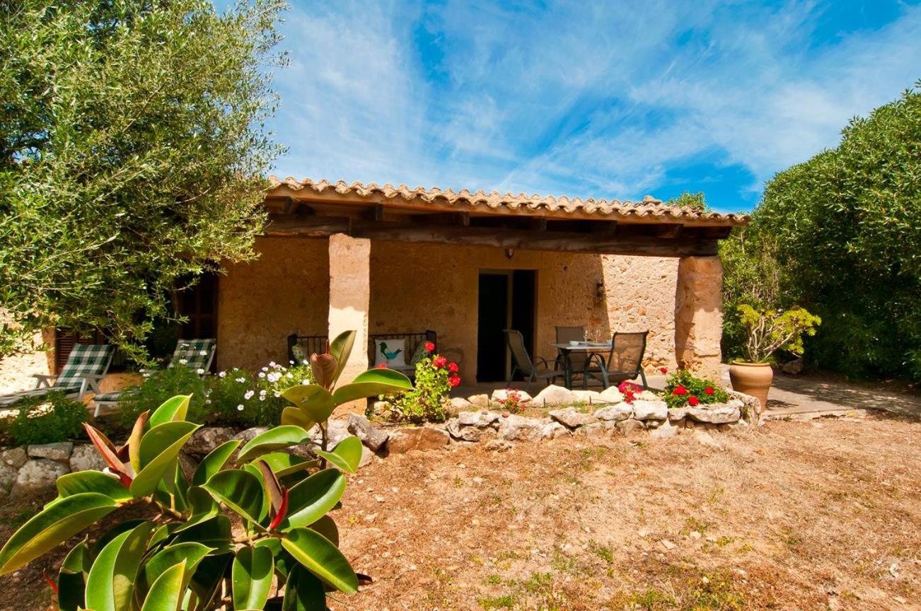 Finca Son Sureda Agroturismo