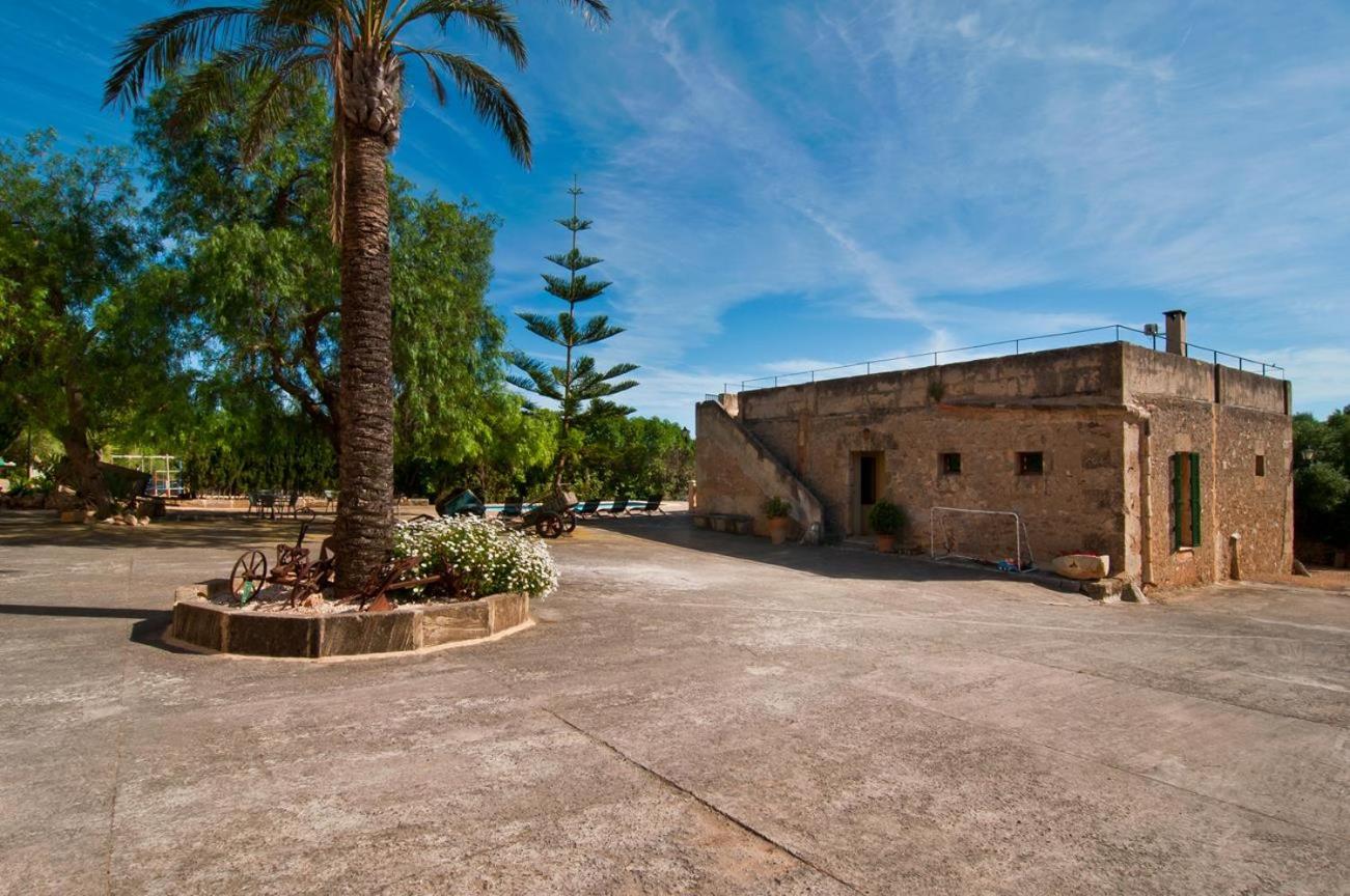 Finca Son Sureda Agroturismo