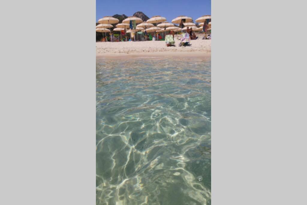 STELLA BEACH HOUSE AT FREE BEACH RESIDENCE view 5
