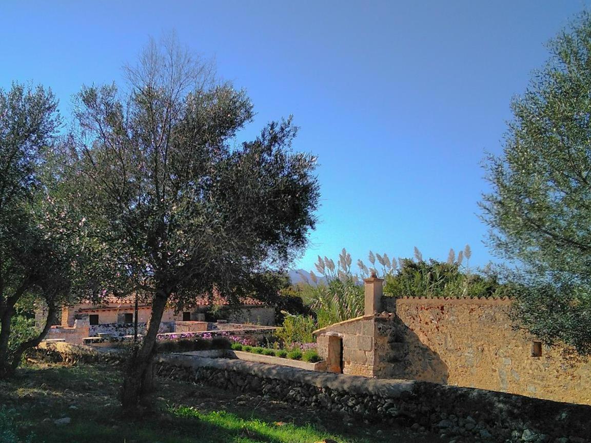 Finca Son Sureda Agroturismo