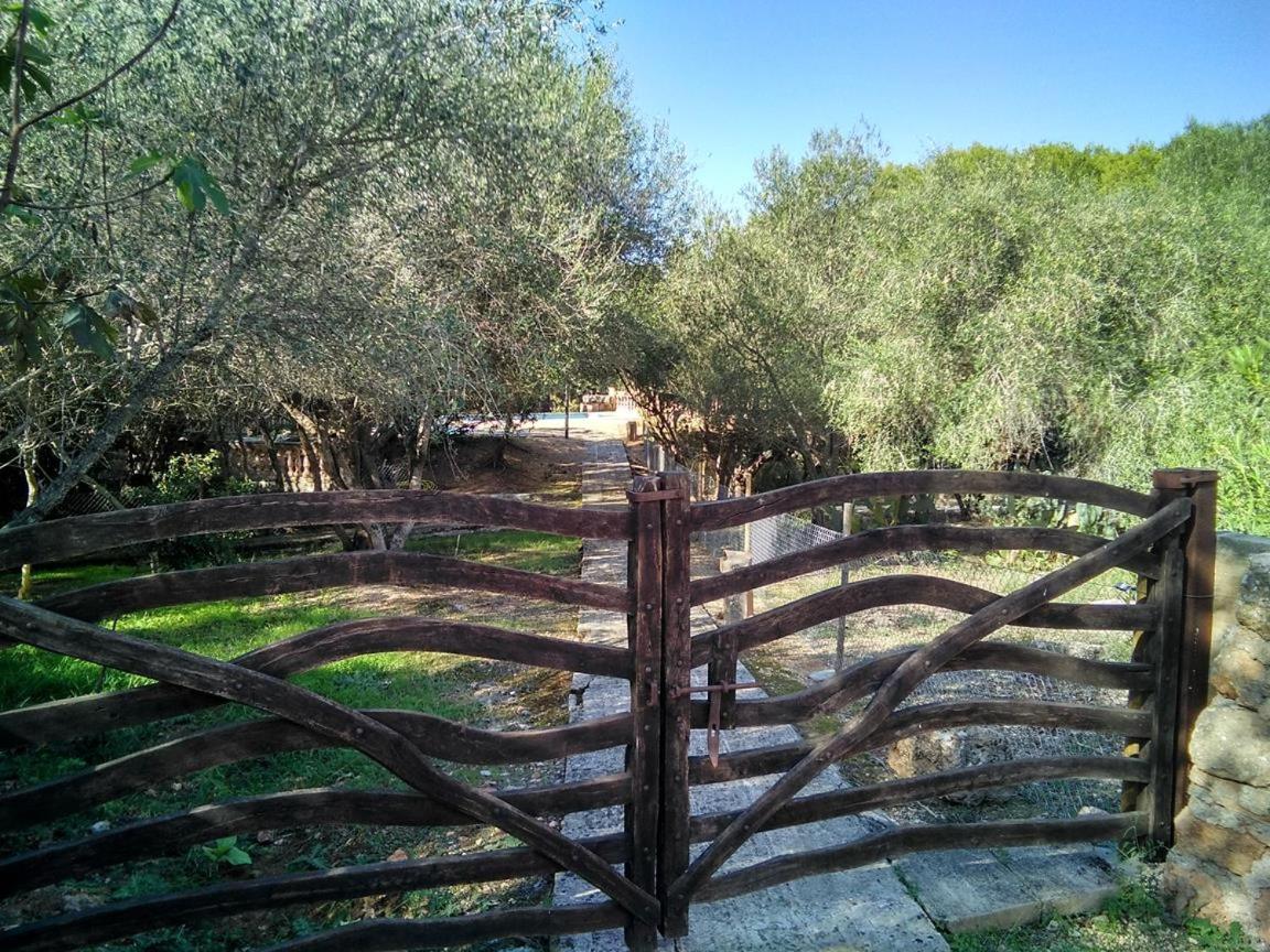 Finca Son Sureda Agroturismo