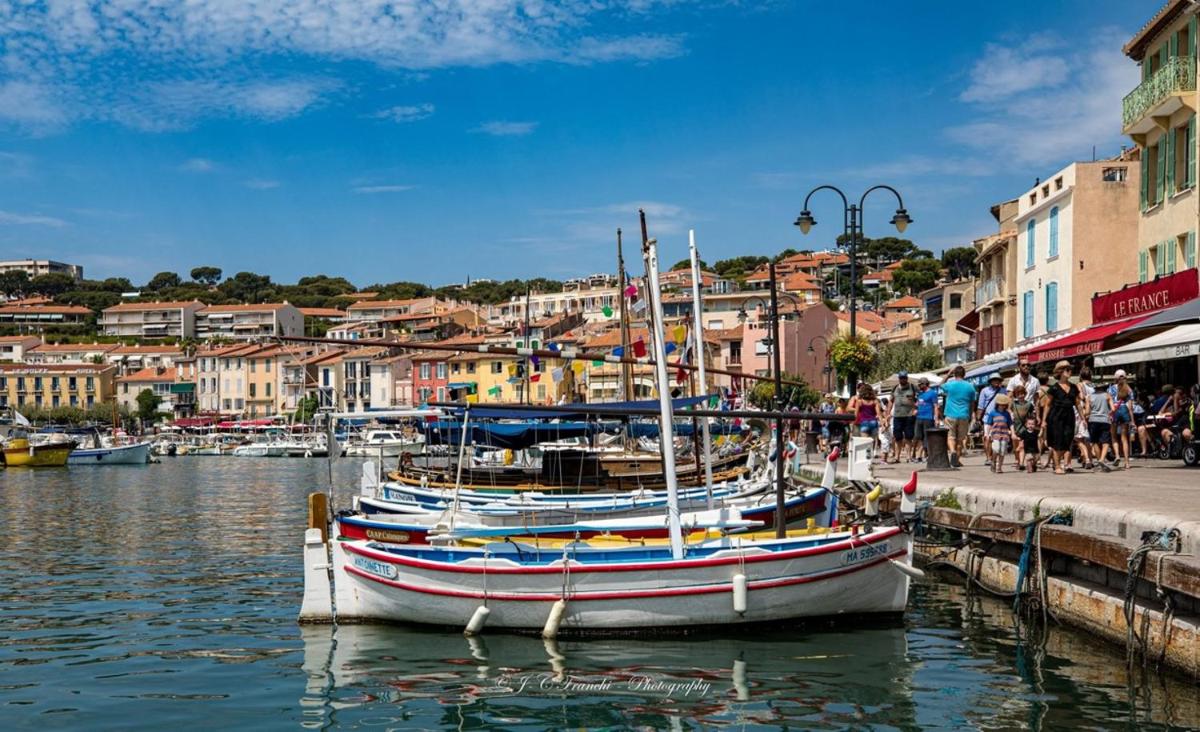 Photo 11