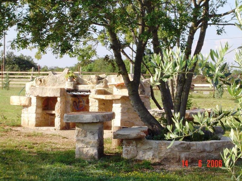 Photo 33