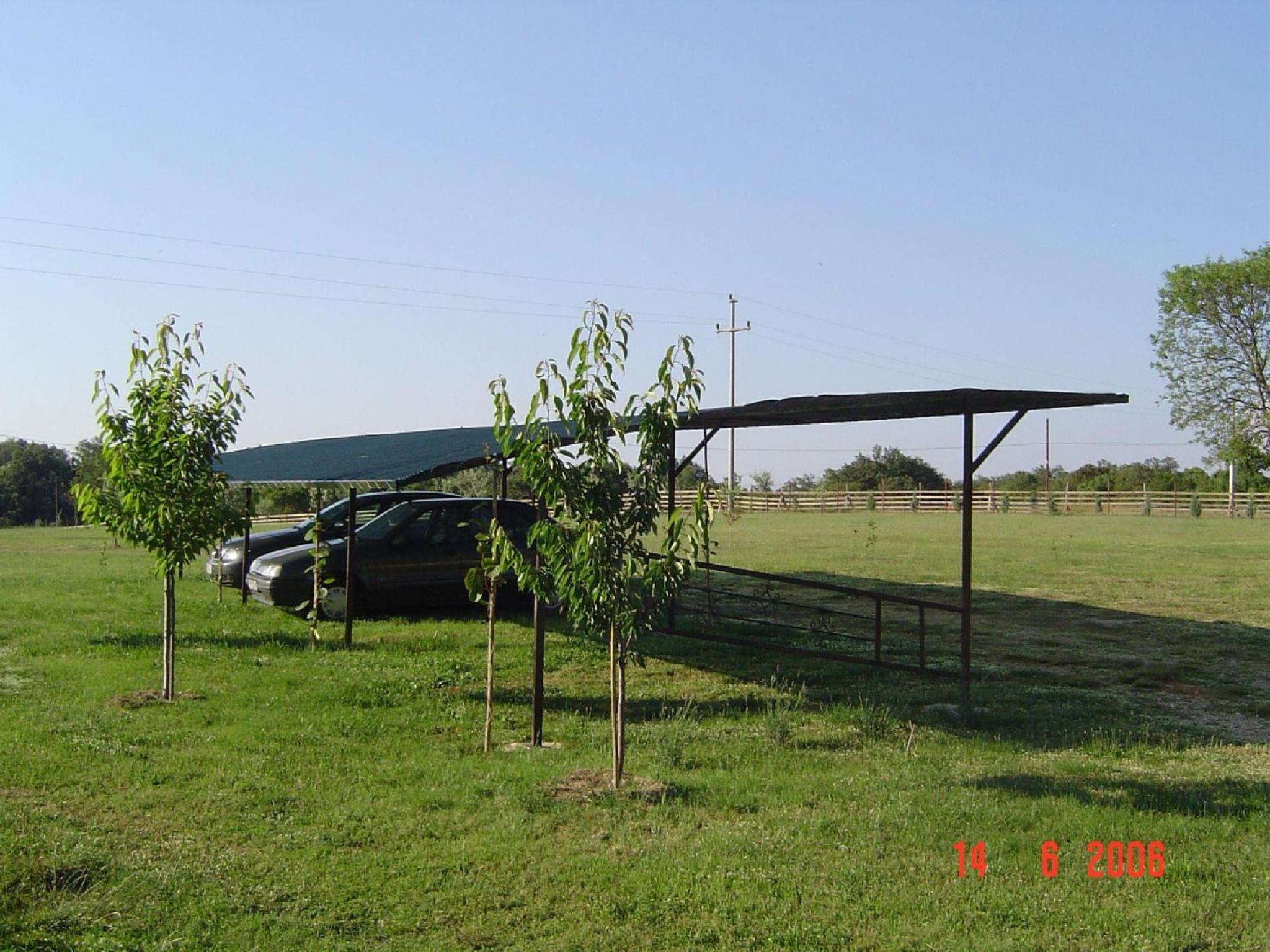 Photo 44