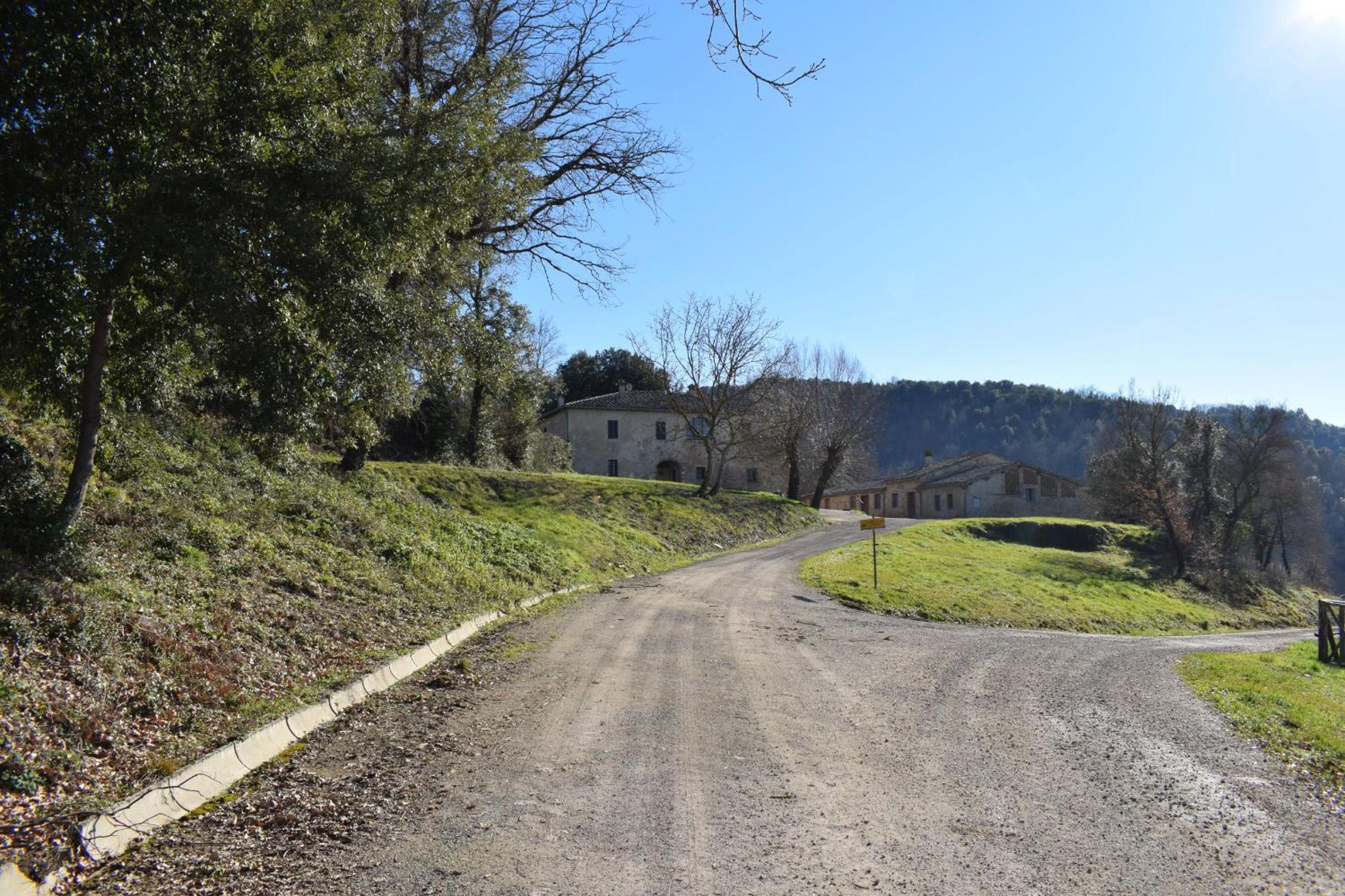 Tipico casolare toscano Tenuta della Selva view 5