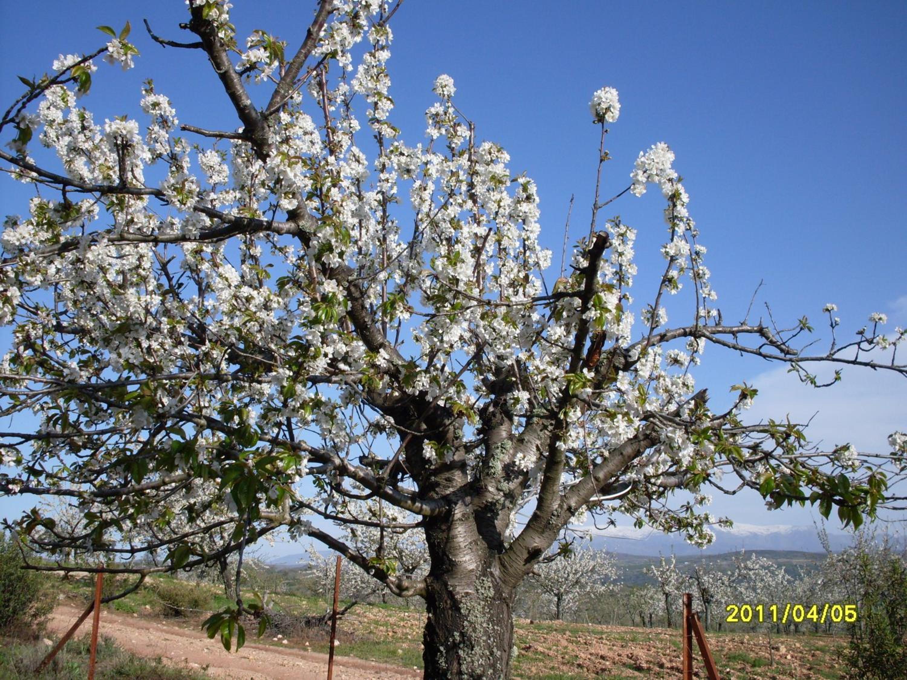 Photo 35