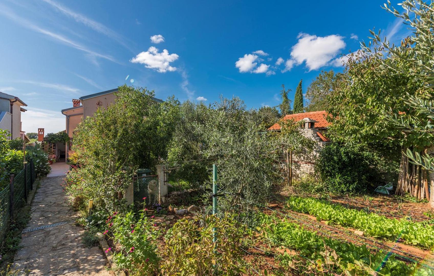 Apartments Stanisic view 4