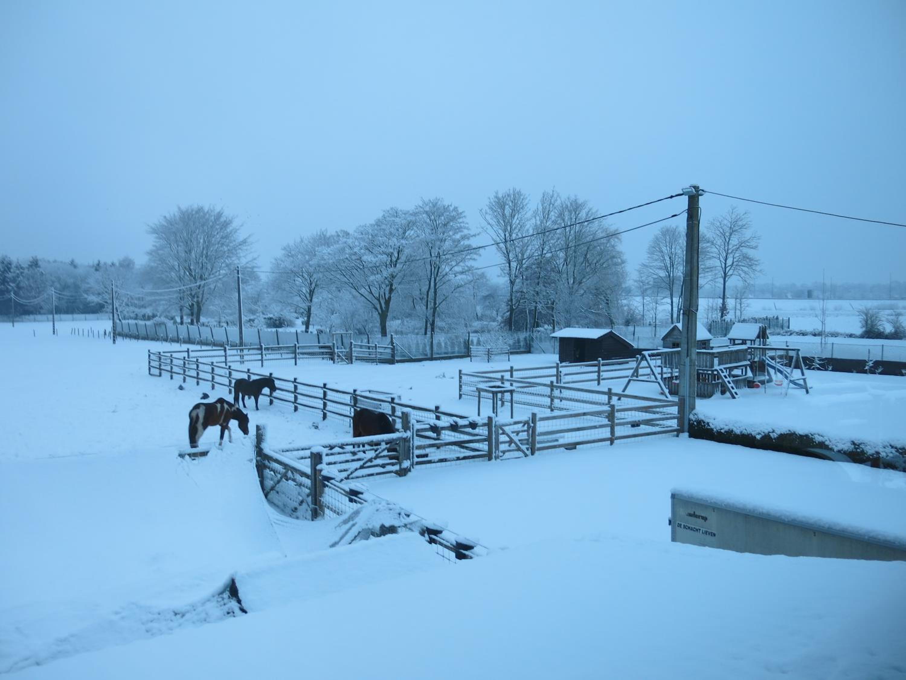 Hoeve Chartreuse