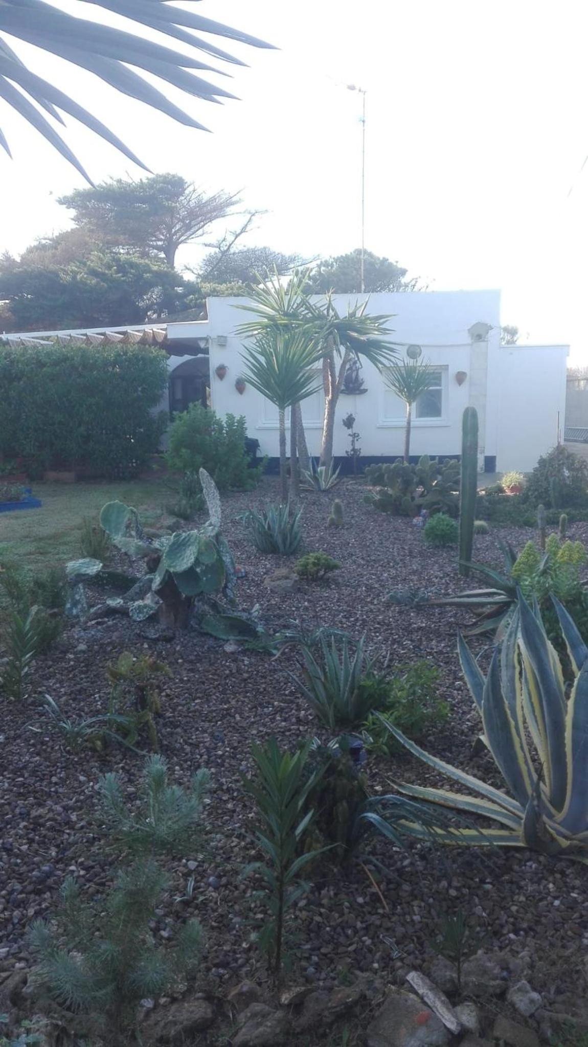 En Finca Las Dunas dos Chalets con jacuzzis en primera linea de playa , uno de 4 dormitorios y otro de 2 dormitorios, Llama al Seiscientos veintisiete Cuat view 3