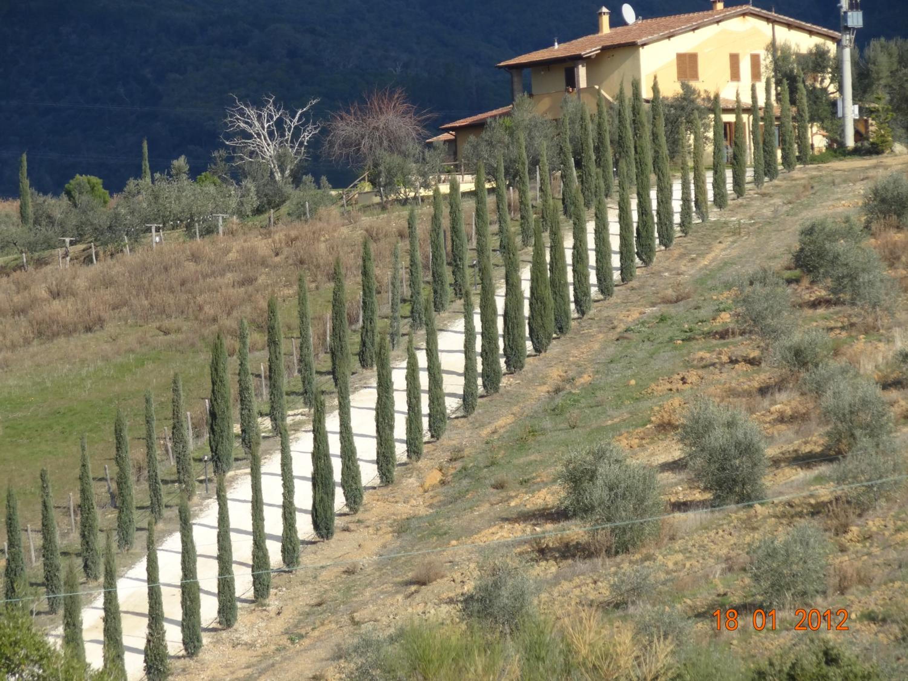 Agriturismo La Svolta