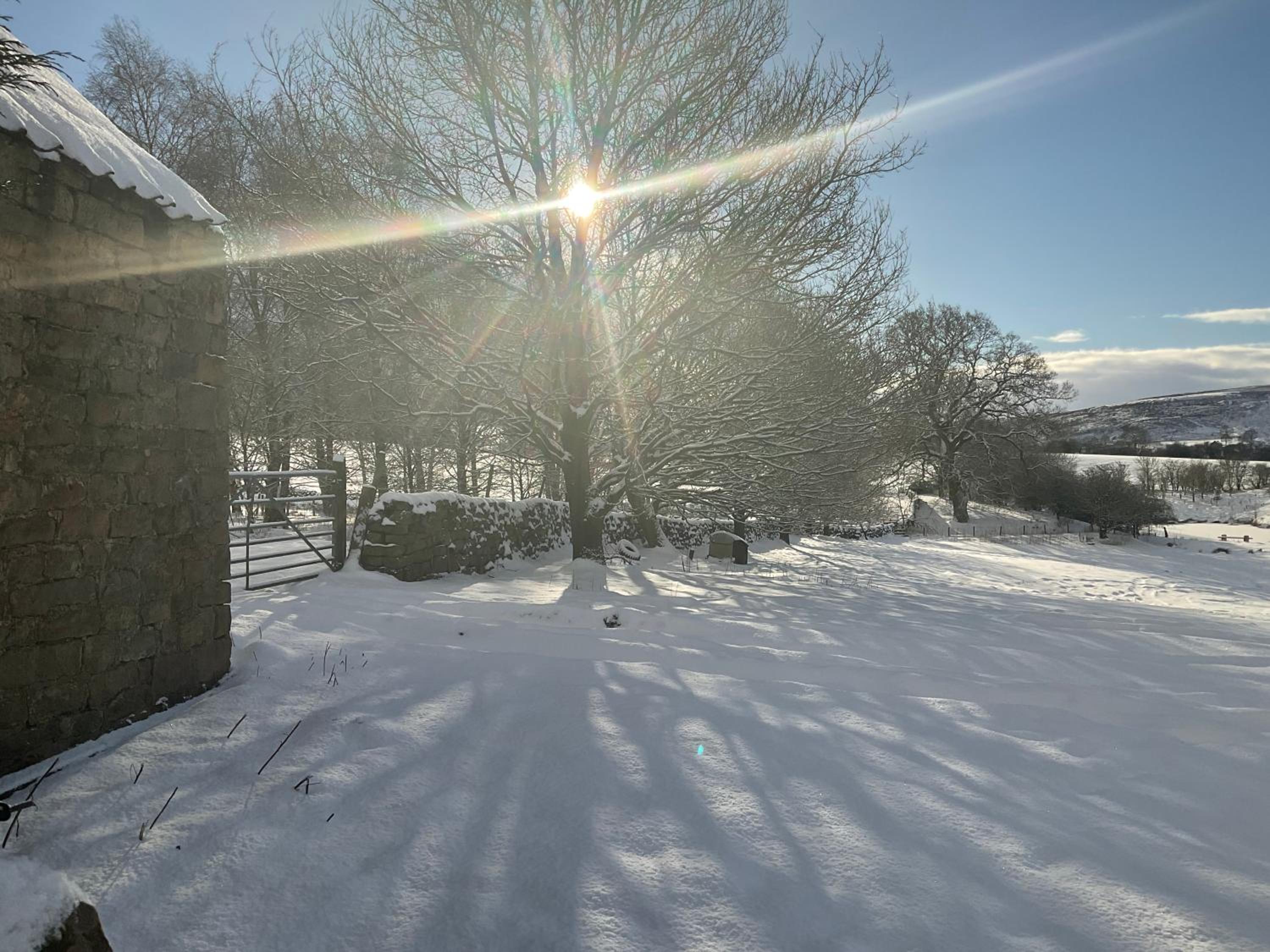 Oak house view 5