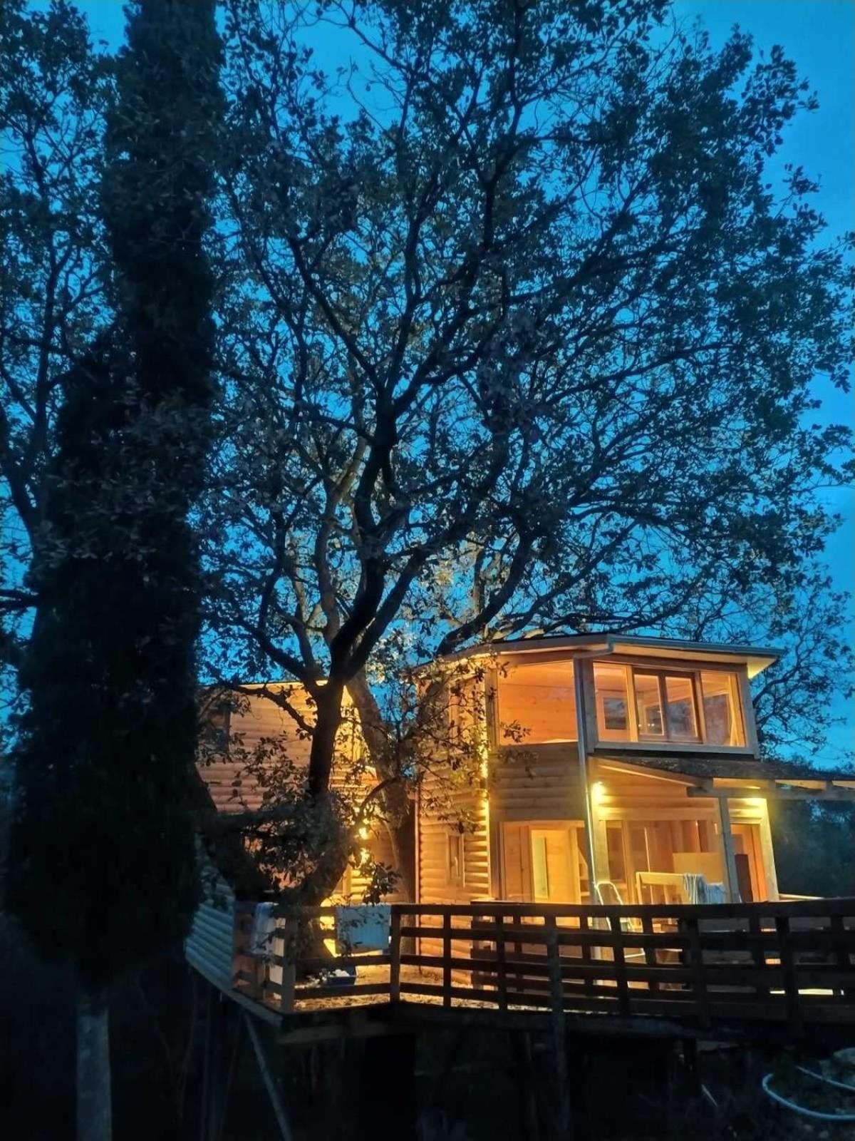 Romantic Tree House