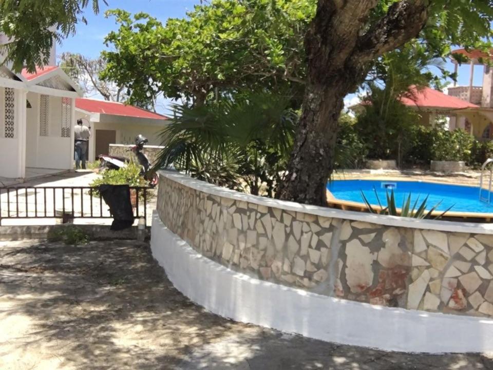 Photo 19