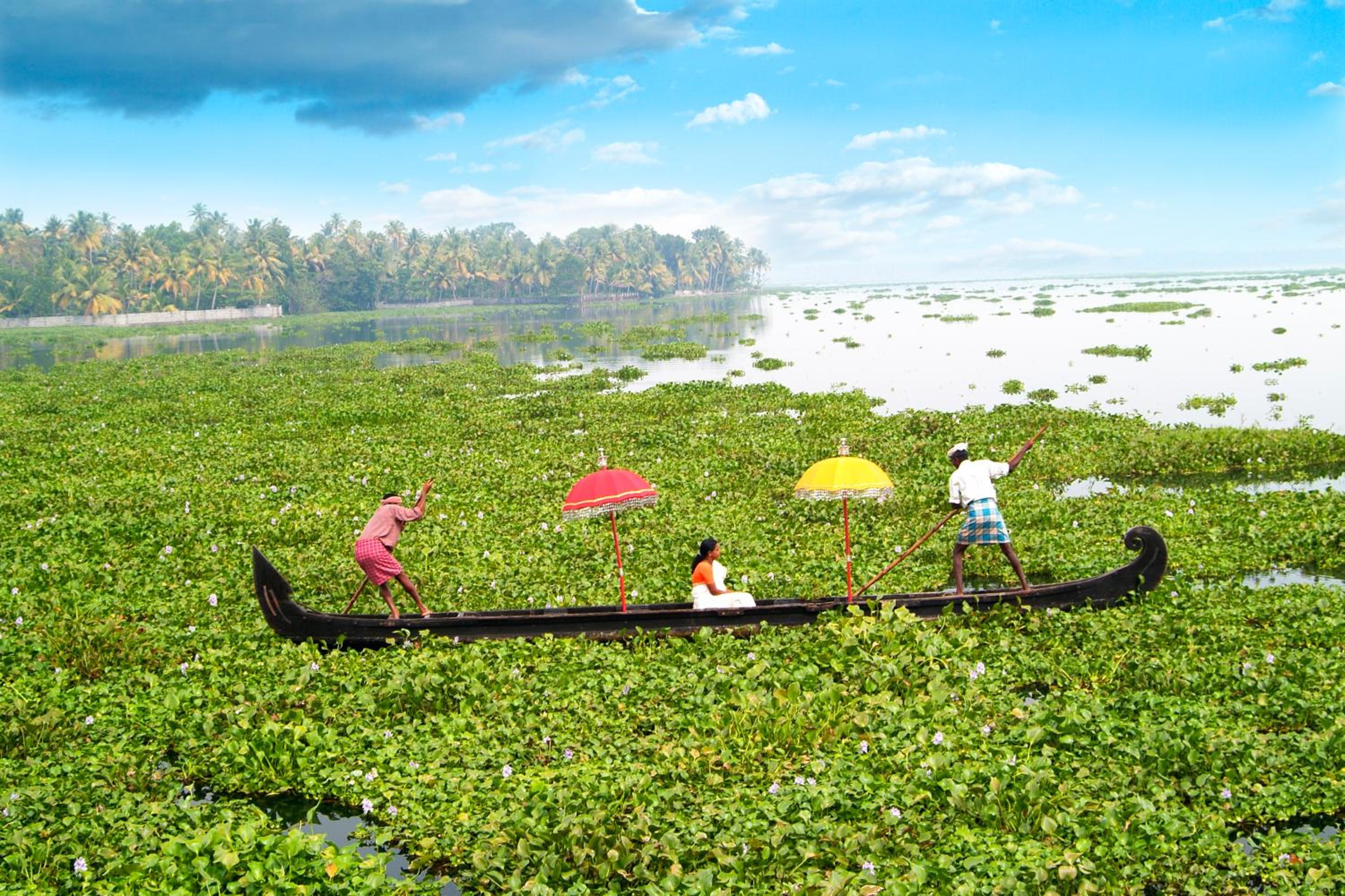 Purity at Lake Vembanad