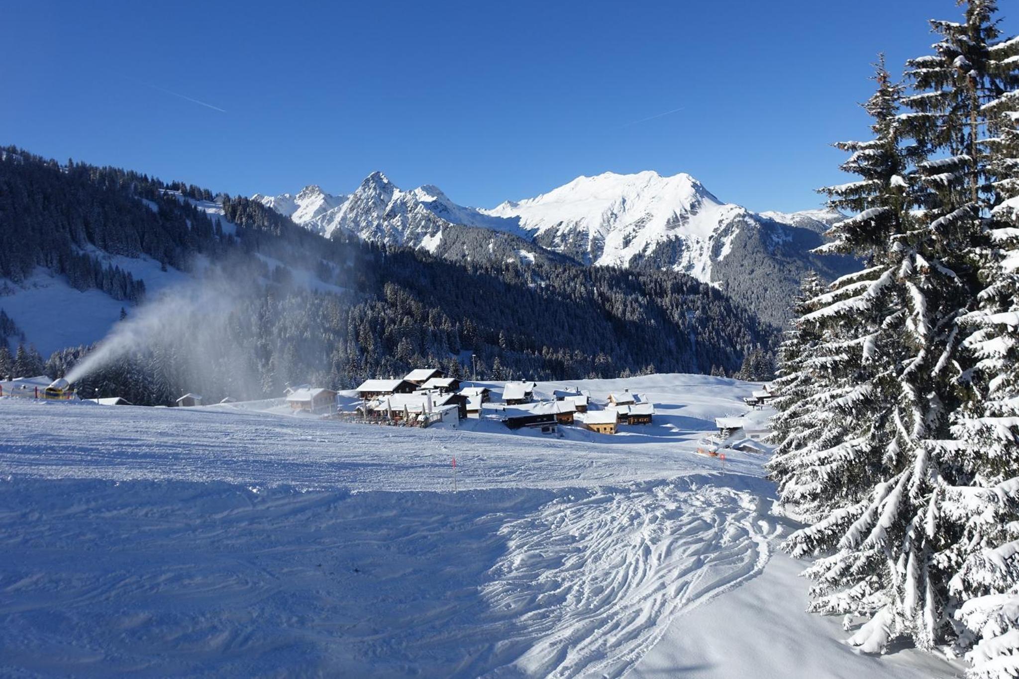Chalet RelaxAlp Garfrescha