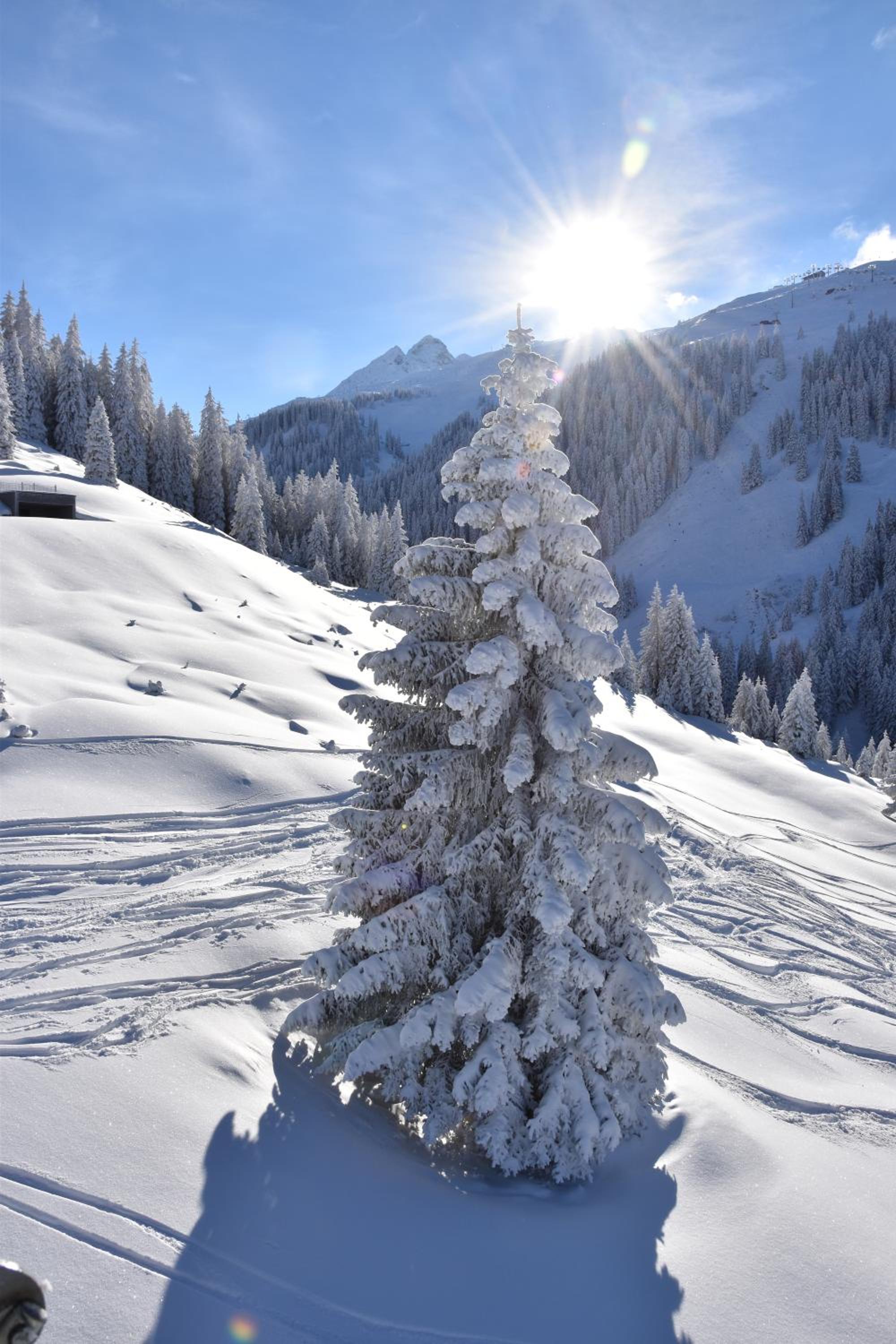 Chalet RelaxAlp Garfrescha