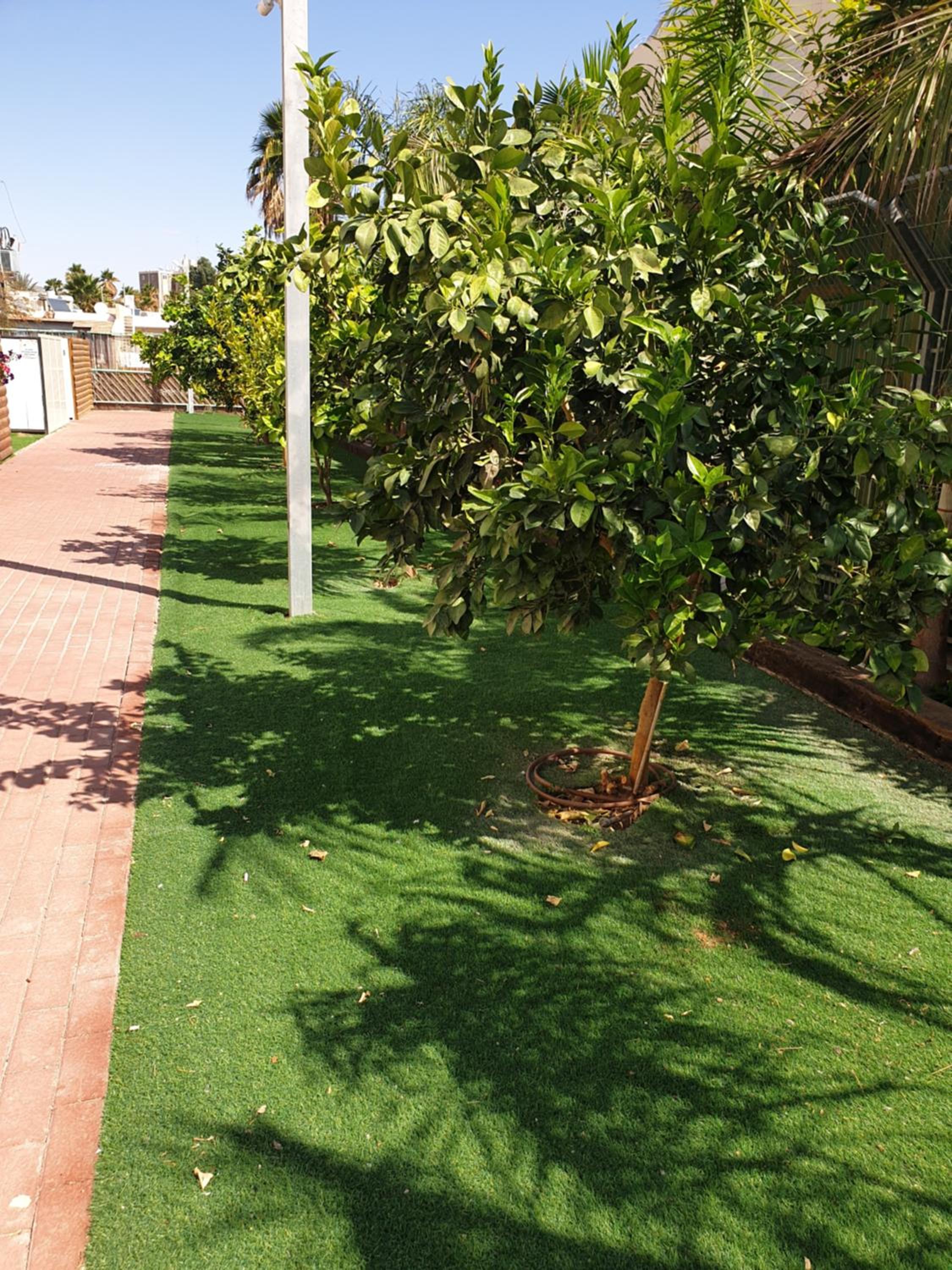 סוויטת נסיכת המפרץ view 3