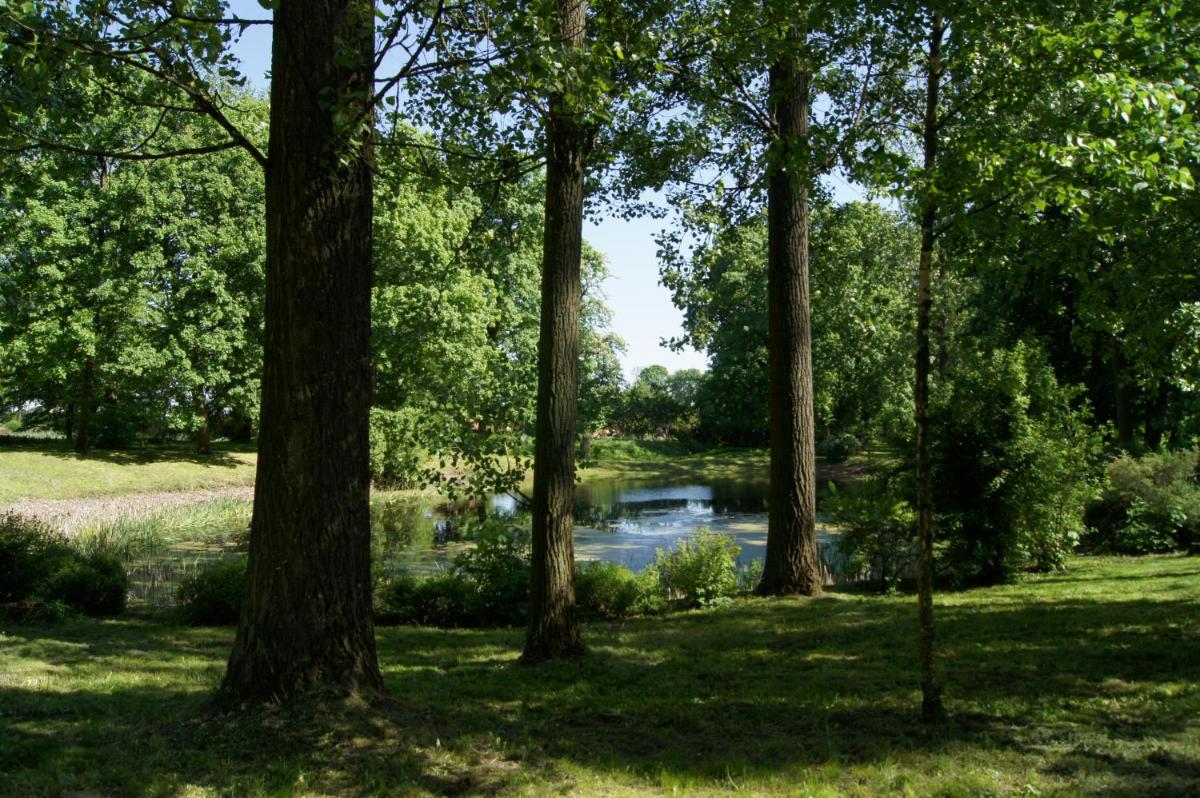 Photo 44
