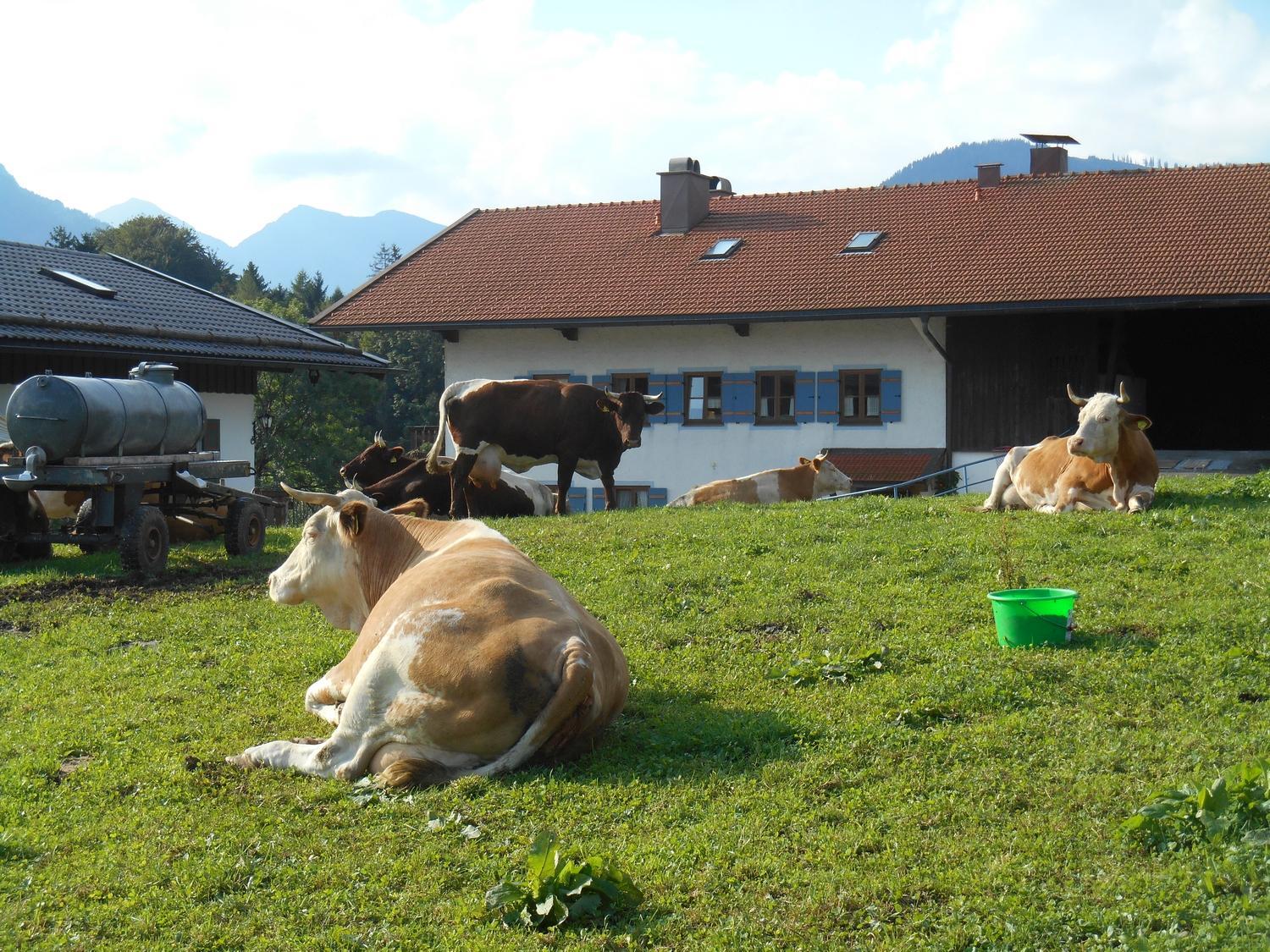 Photo 21