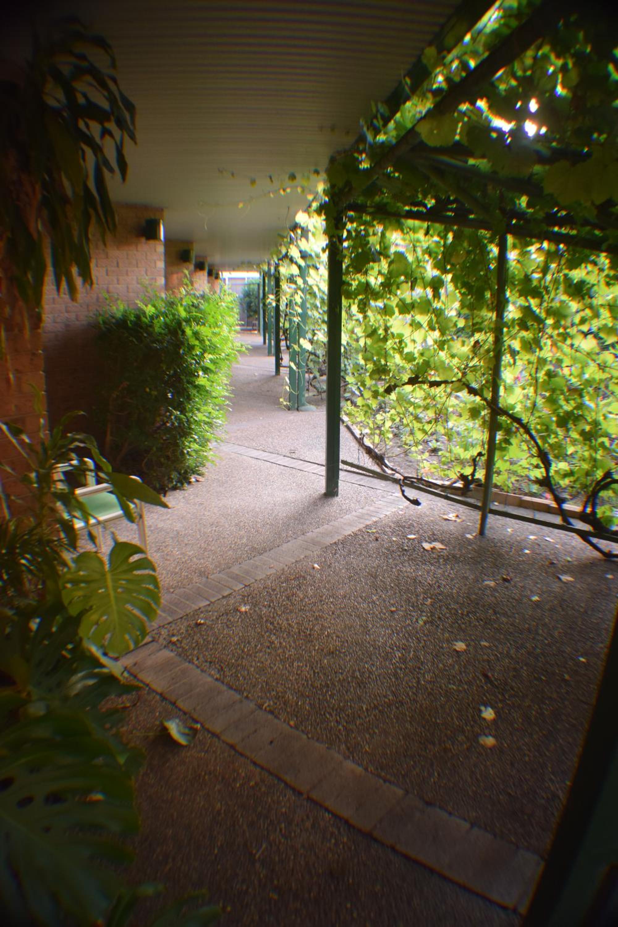 John Hunter Motel Muswellbrook, photo 19