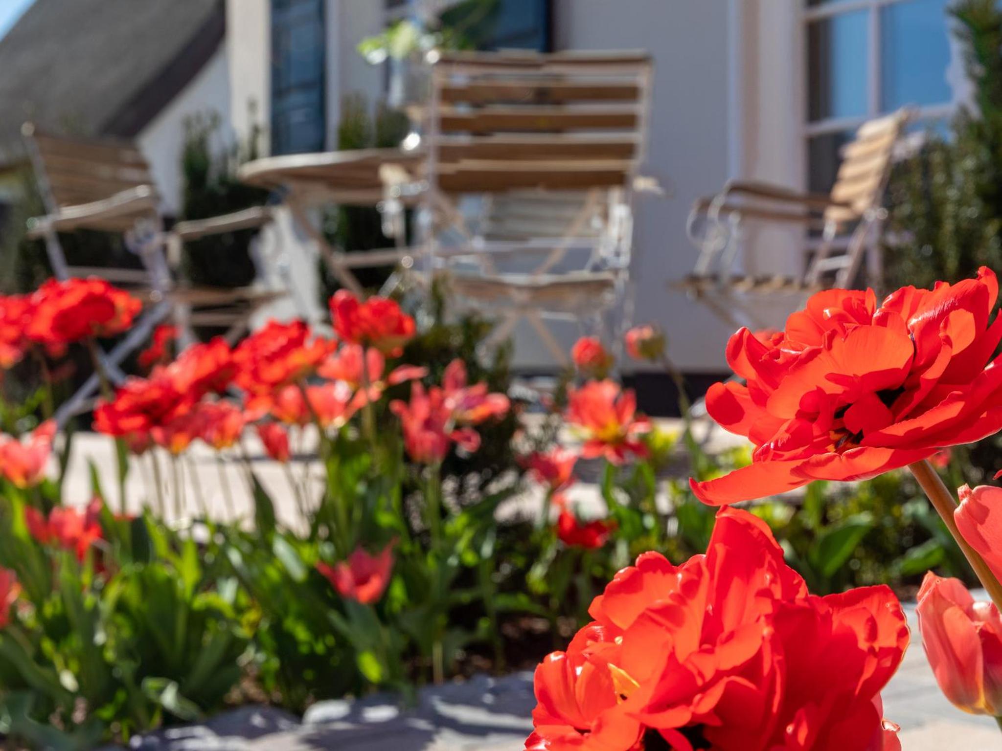 Traumhaus unter Reet Zingst Deluxe