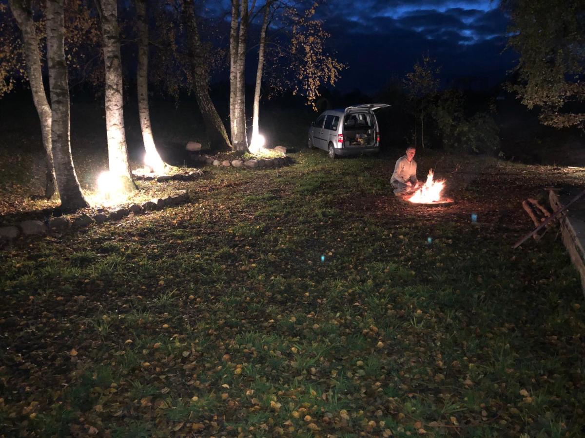 Photo 19