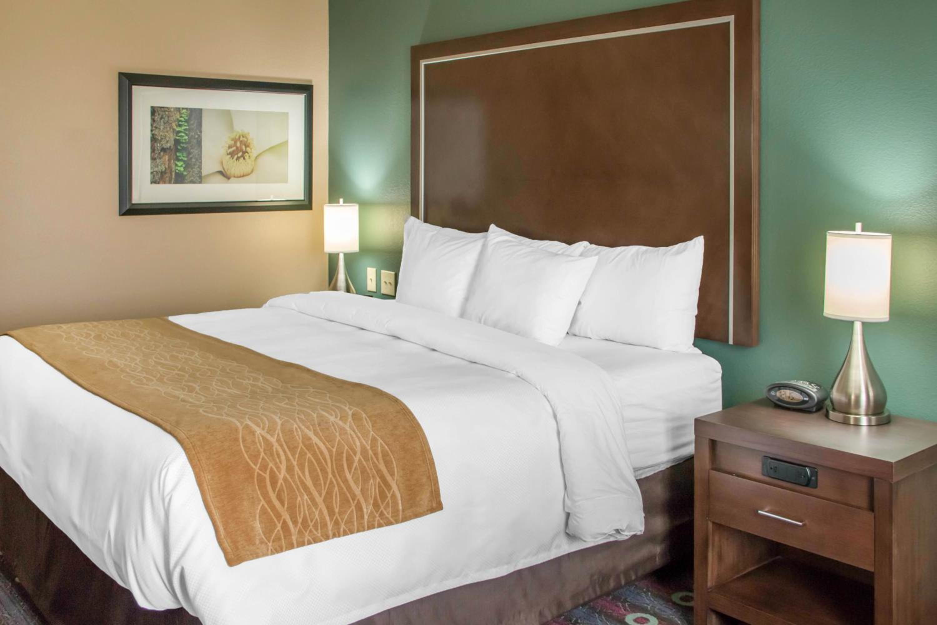 Comfort Inn & Suites San Marcos near Outlet Mall, Foto 8