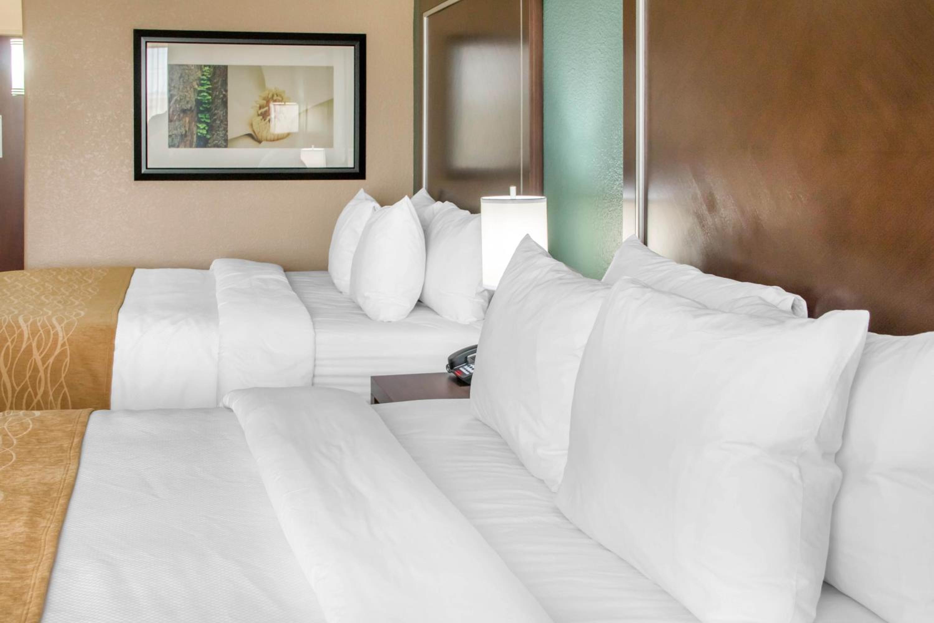 Comfort Inn & Suites San Marcos near Outlet Mall, Foto 16