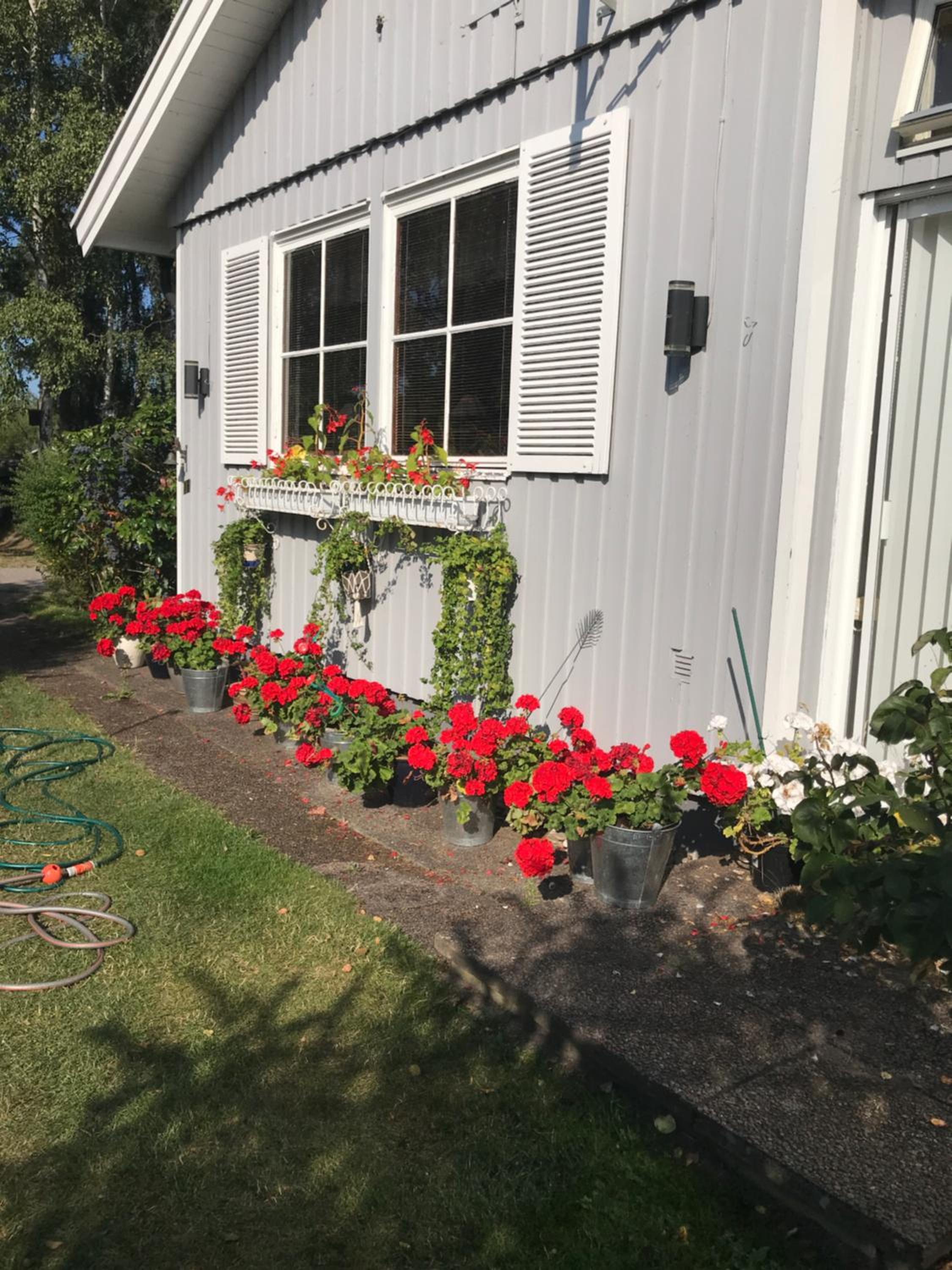 Photo 31