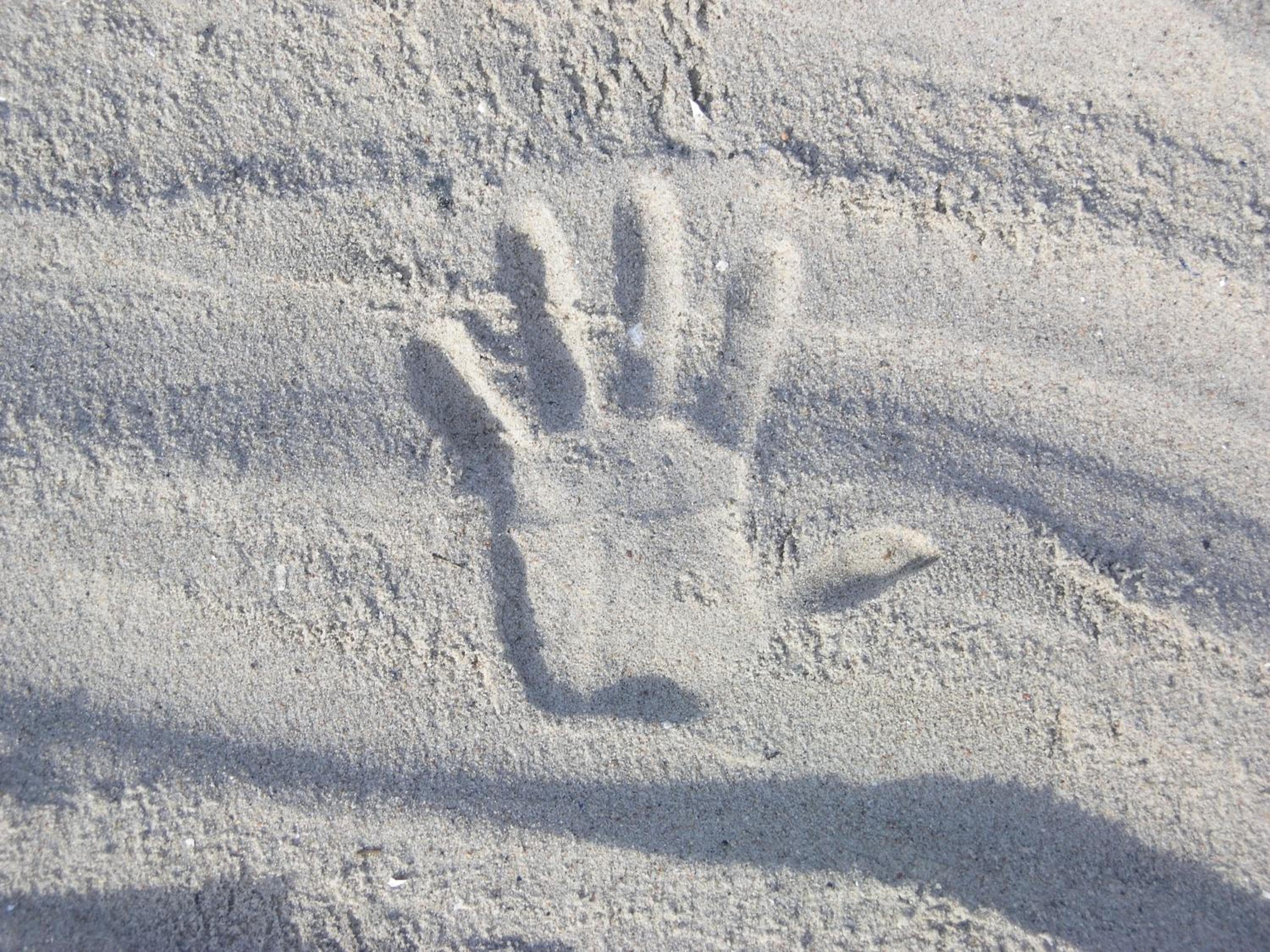 Ferienwohnungen im Haus Strandburg Grömitz
