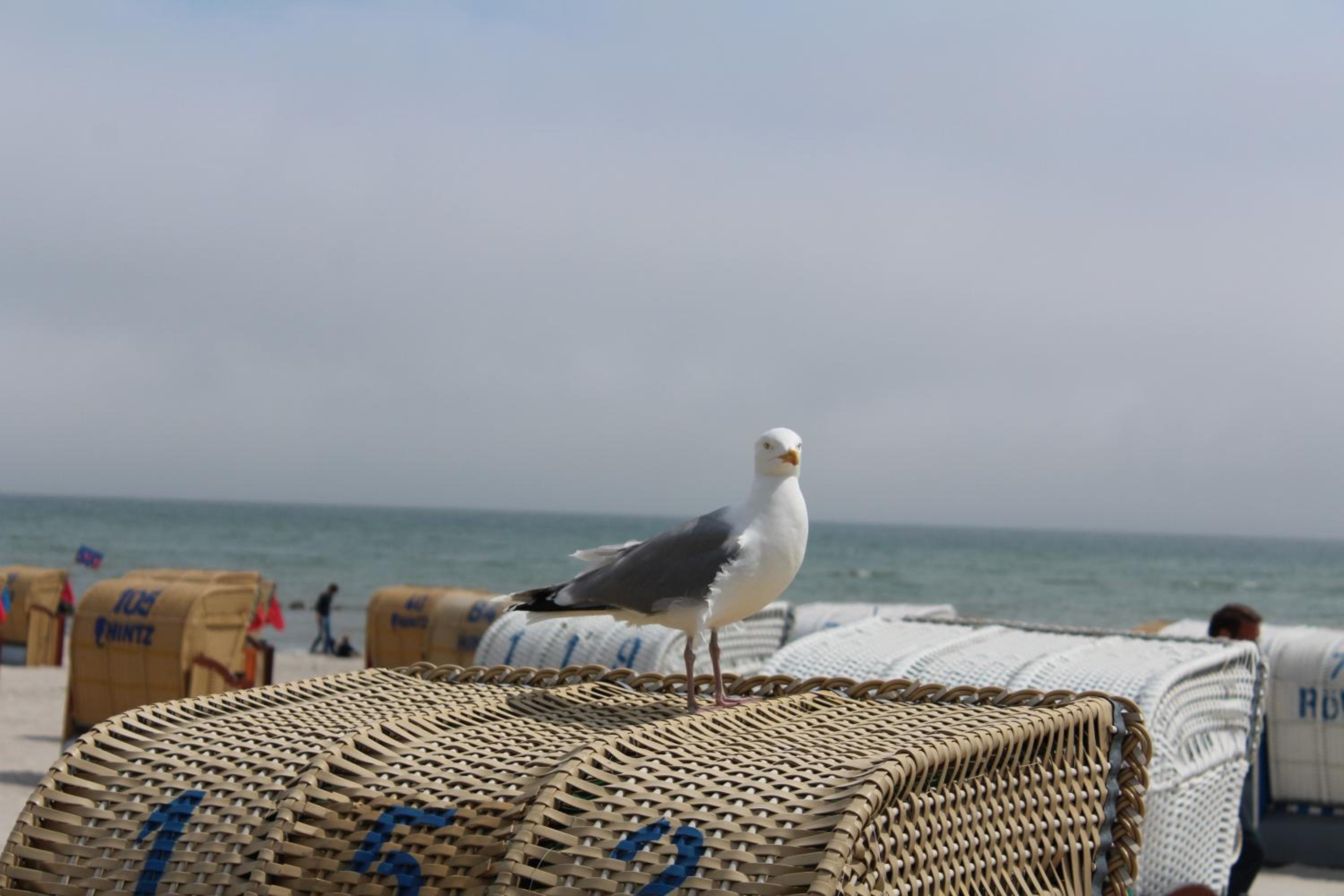 Ferienwohnungen im Haus Strandburg Grömitz