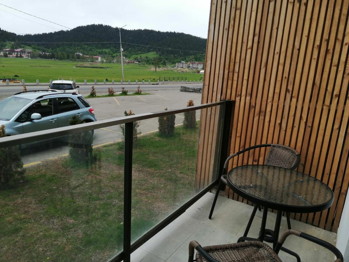 BAKURIANI PLAZA A-109 view 2