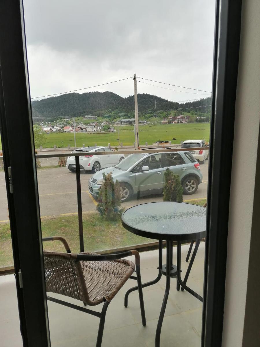BAKURIANI PLAZA A-109 view 3
